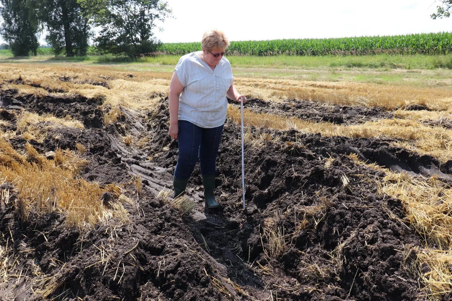 Ein abgeerntetes Gerstenfeld bei Schraden. Bis zu einem Meter tief sind die Wühlspuren der Mähdrescher und Traktoren auf dem durchweichten Schlag.