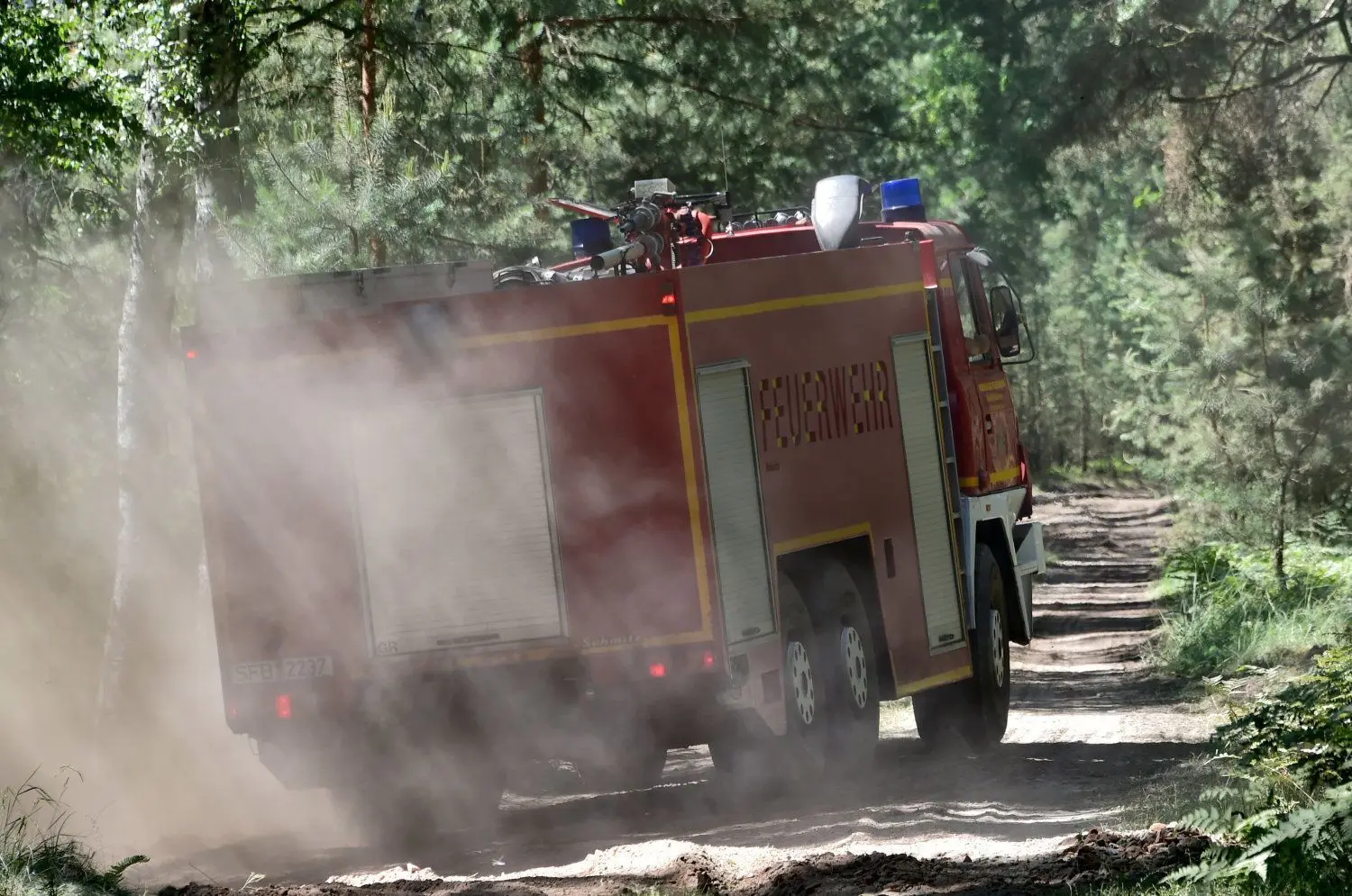 Qualm steigt von einem verbrannten Baumstumpf in der Lieberoser Heide auf.