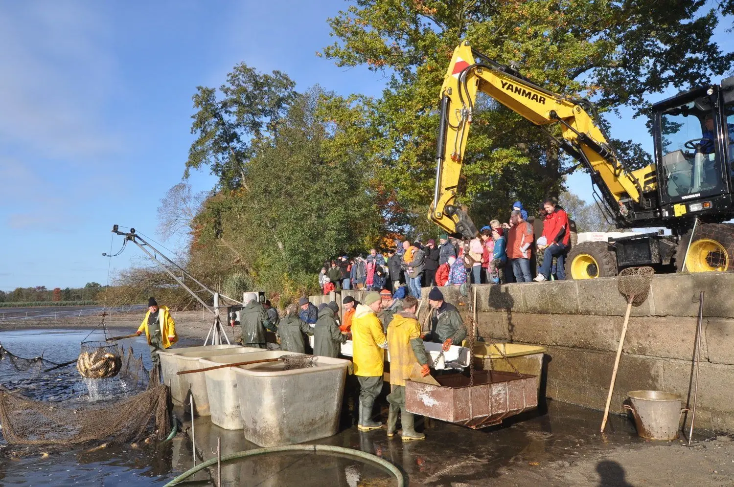 Ständig wechseln die Besucher, die sich das Abfischen in Thalberg seit den frühen Morgenstunden nicht entgehen lassen wollen.