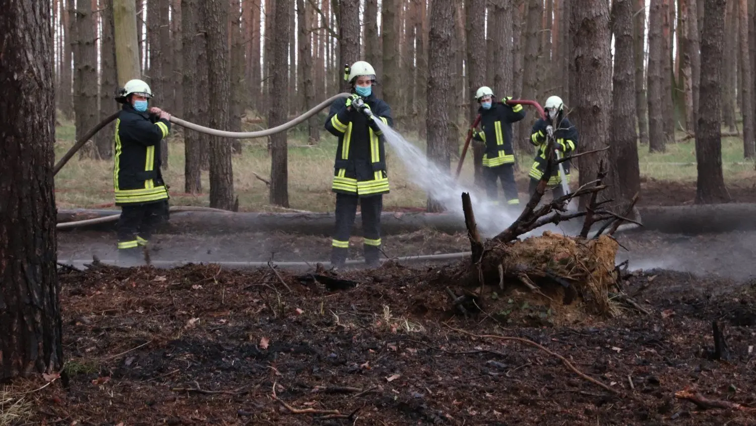 Rund 50 Feuerwehrleute haben am Freitagabend einen Waldbrand zwischen Groß Oßnig und Harnischdorf gelöscht.