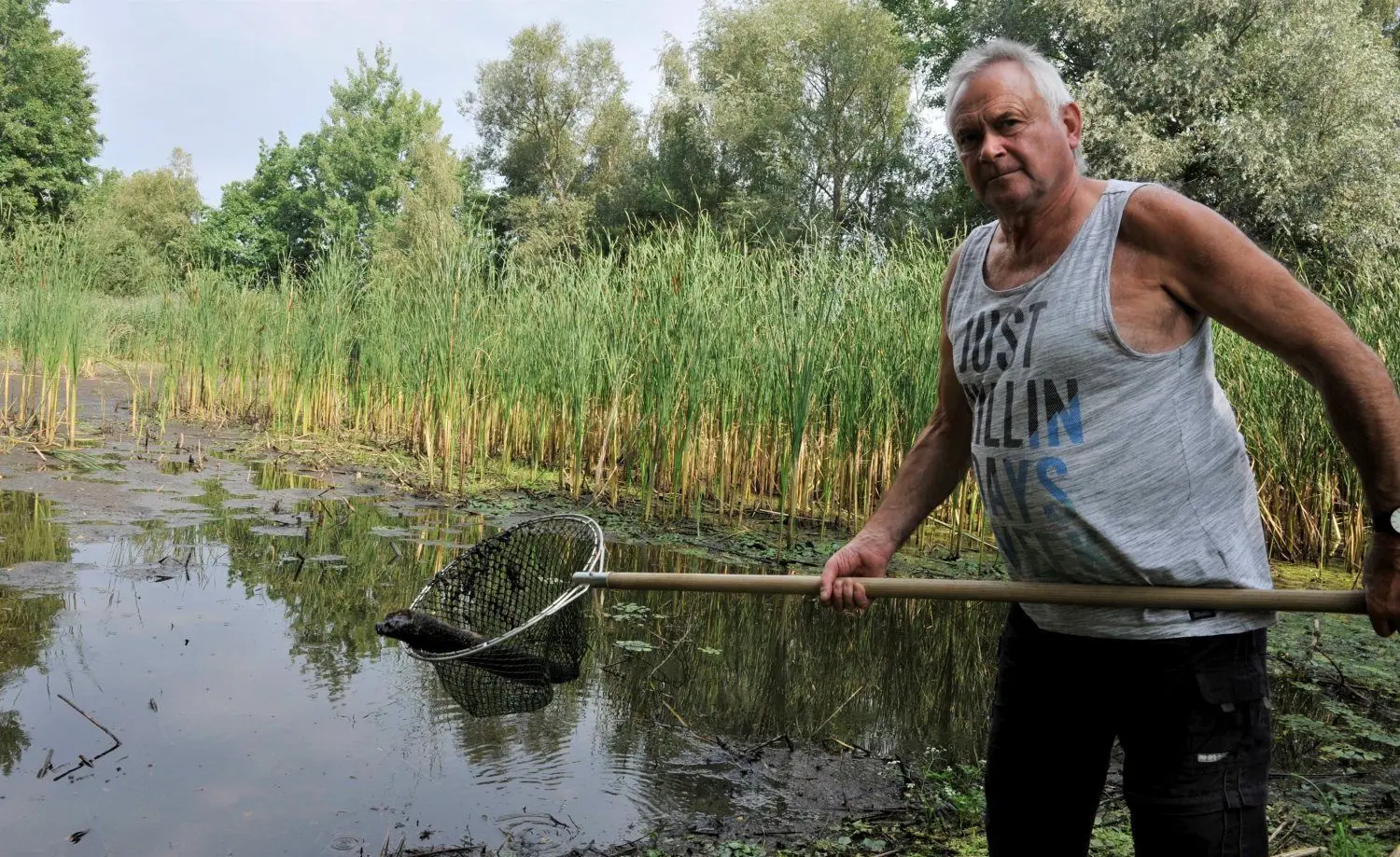 250 Hektar Teiche betreut Dietmar Bergmann von der Teichwirtschft in Klitten. Einige Gewässer mussten wegen Wassermangels bereits notabgefischt werden.