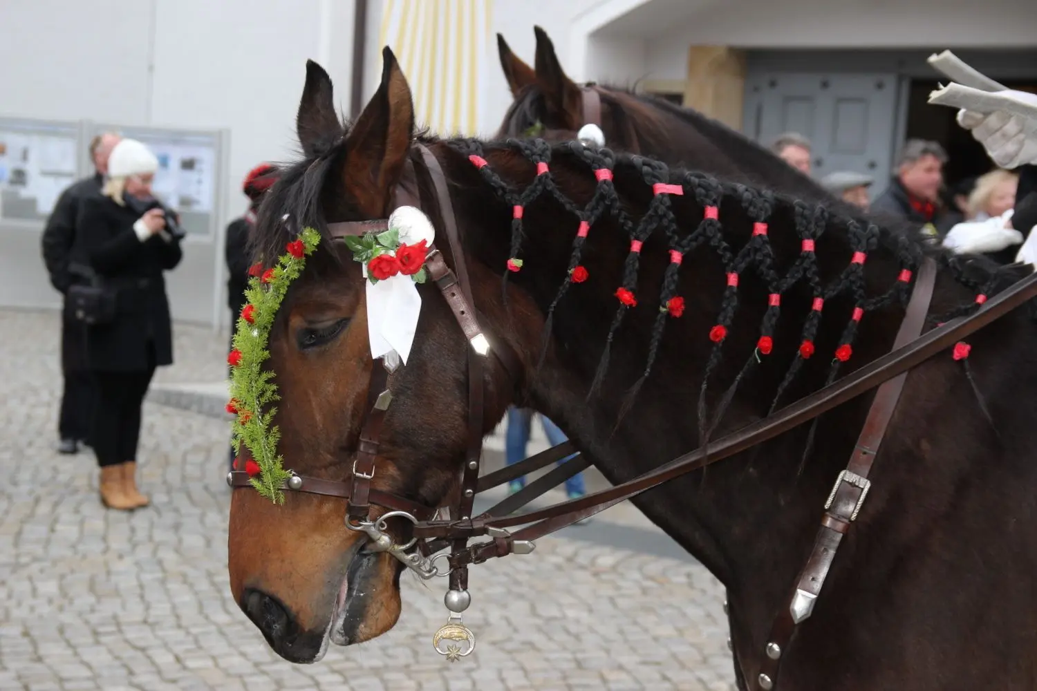 Die Pferde präsentieren sich zum Osterreiten festlich geschmückt. Unzählige Stunden Arbeit investieren die Reiter dafür.