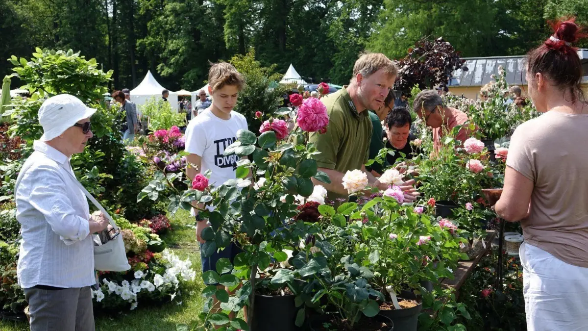 Viele der Besucher genossen das einzigartige Flair beim Branitzer Gartenfestival. ⇥
Viele der Besucher genossen das einzigartige Flair beim Branitzer Gartenfestival.