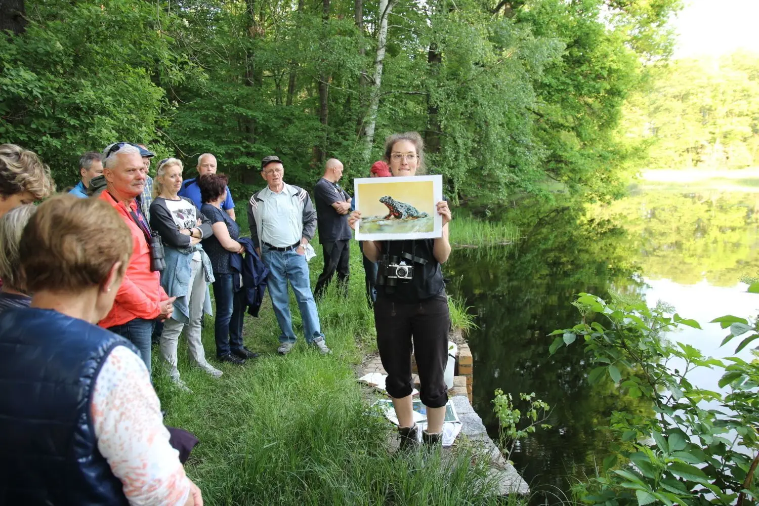 Der Ruhlander Sorgenteich ist nicht nur für seine transatlantische Flora bekannt, sondern auch für seinen Amphibienreichtum. Hier präsentiert Sophie Desaga von der Stiftung Naturschutzfonds Brandenburg die einzelnen Arten.