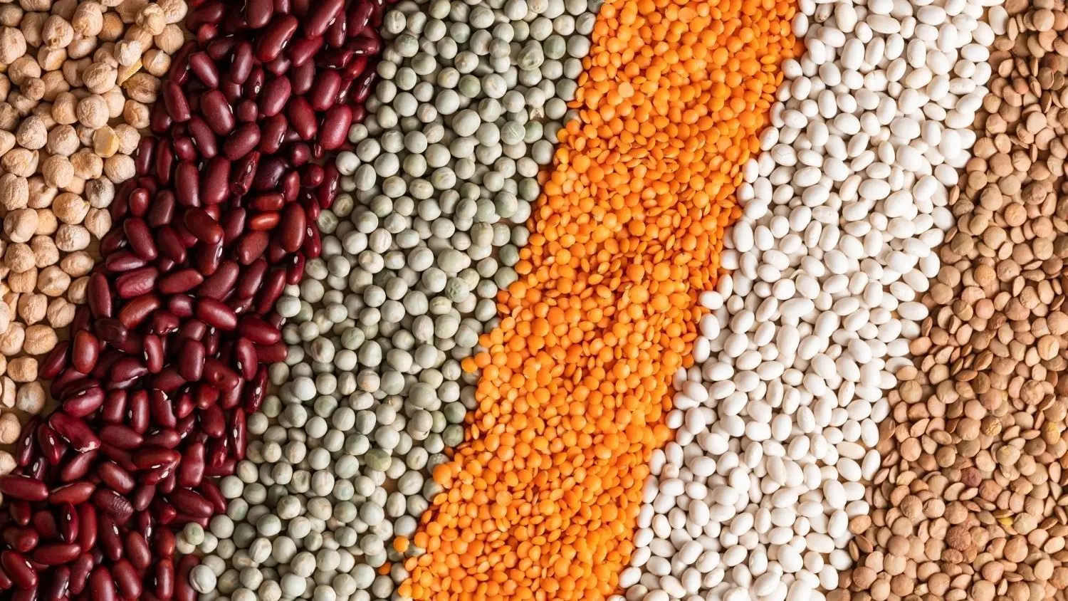 Von links nach rechts: Kichererbsen, Kidneybohnen, Erbsen, Rote Linsen, Weiße Bohnen und Tellerlinsen liegen auf einem Tisch. Linsen, Bohnen, Kichererbsen und Co. sind supergesund.