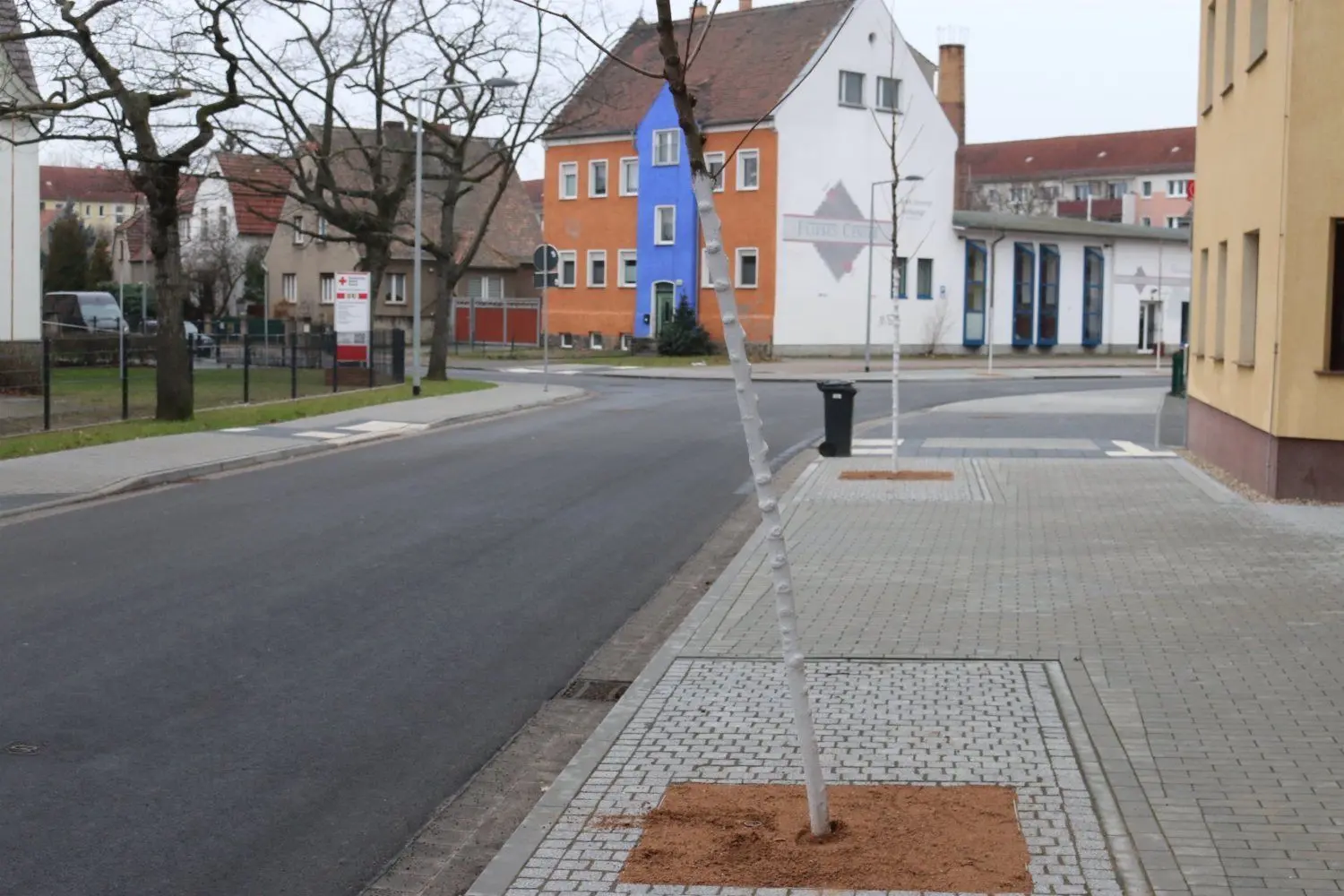 Einer der 15 schief gerüttelten jungen Bäume an der Mühle in der Herzberger Karl-Liebknecht-Straße. Ob er wieder gut anwächst, wenn er gerichtet ist?