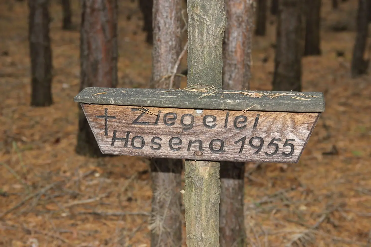 Dieses Schild erinnert an den ungefähren Standort der Hosenaer Ziegelei, die es seit über 60 Jahren nicht mehr gibt.