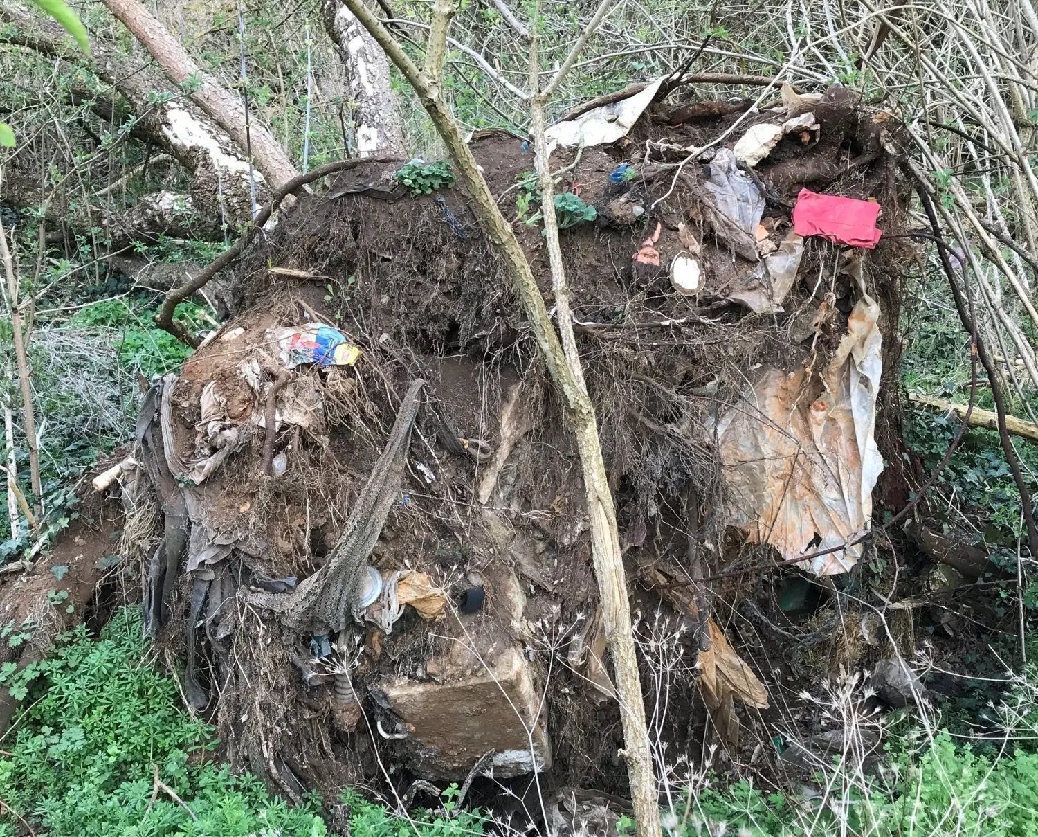 So sieht es unter dem Blumenteppich aus: Müll der ehemaligen Hausmülldeponie gelangt durch umstürzende Bäume an die Oberfläche.