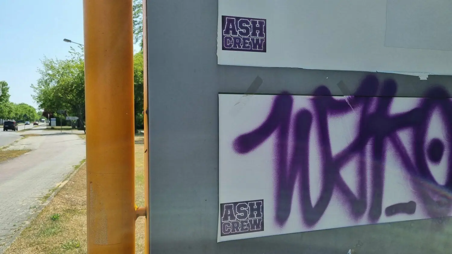 Fast allgegenwärtig in der Neustadt, Aufkleber mit dem Schriftzug Ash Crew.
