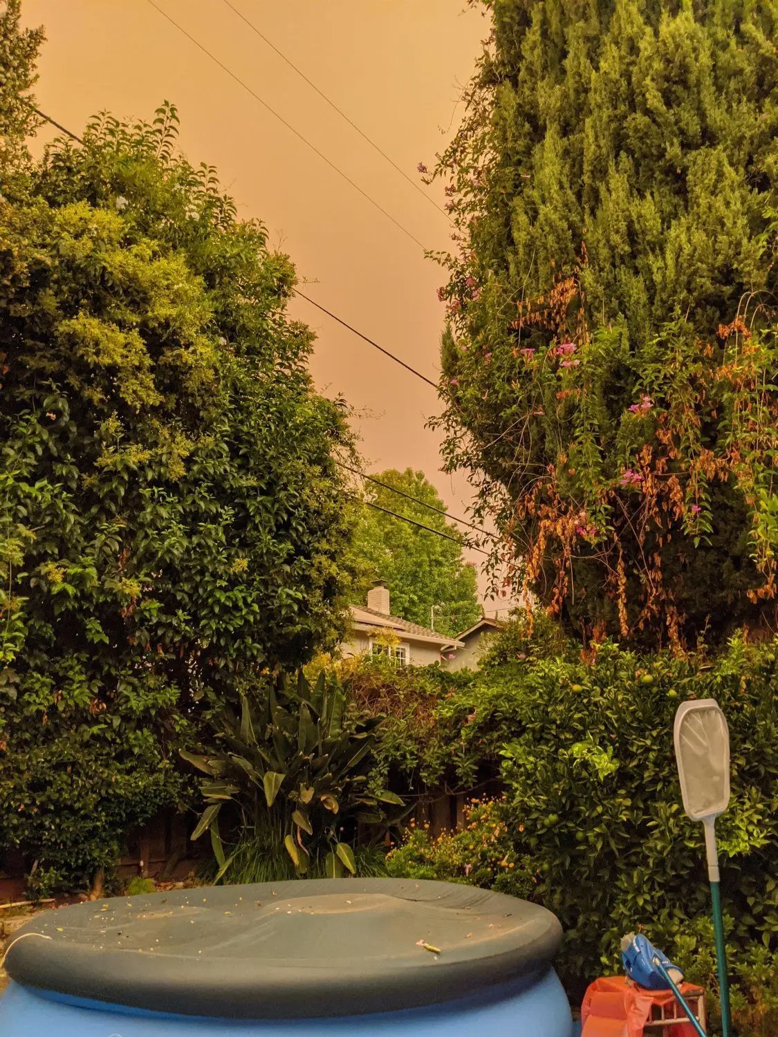 Die Rauchwolken der verheerenden Waldbrände und Buschfeuer in Kalifornien sind aus der Ferne zu sehen. Der Himmel ist an diesem 9. September ganztags in einen ungewöhnlichen Orange-Farbton getaucht - als würde es sich um einen Sonnenuntergang handeln.