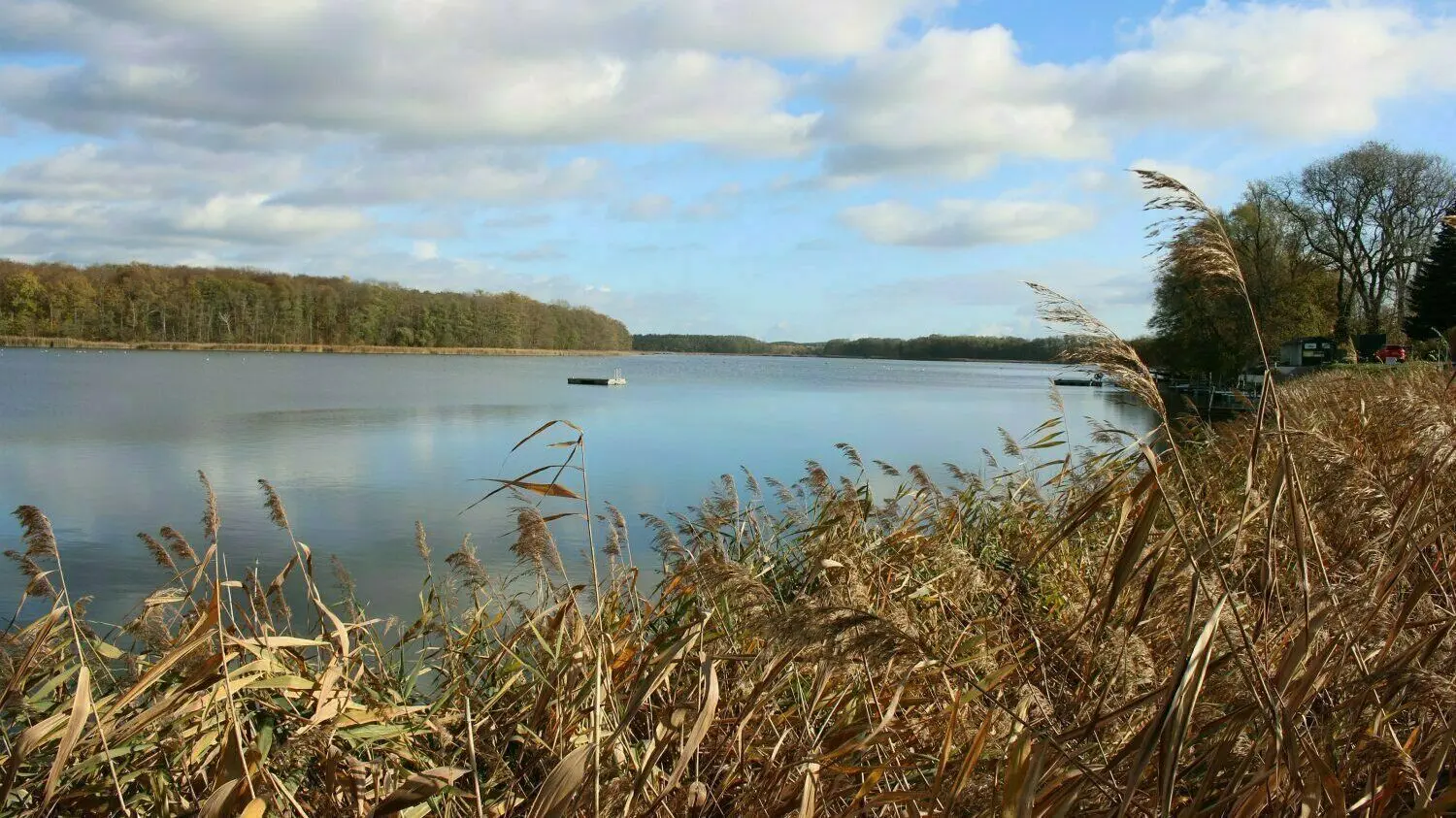 Der Groß Leuthener See ist ein natürliches Gewässer. Der sandige Grund bietet den Zandern gute Laichplätze.