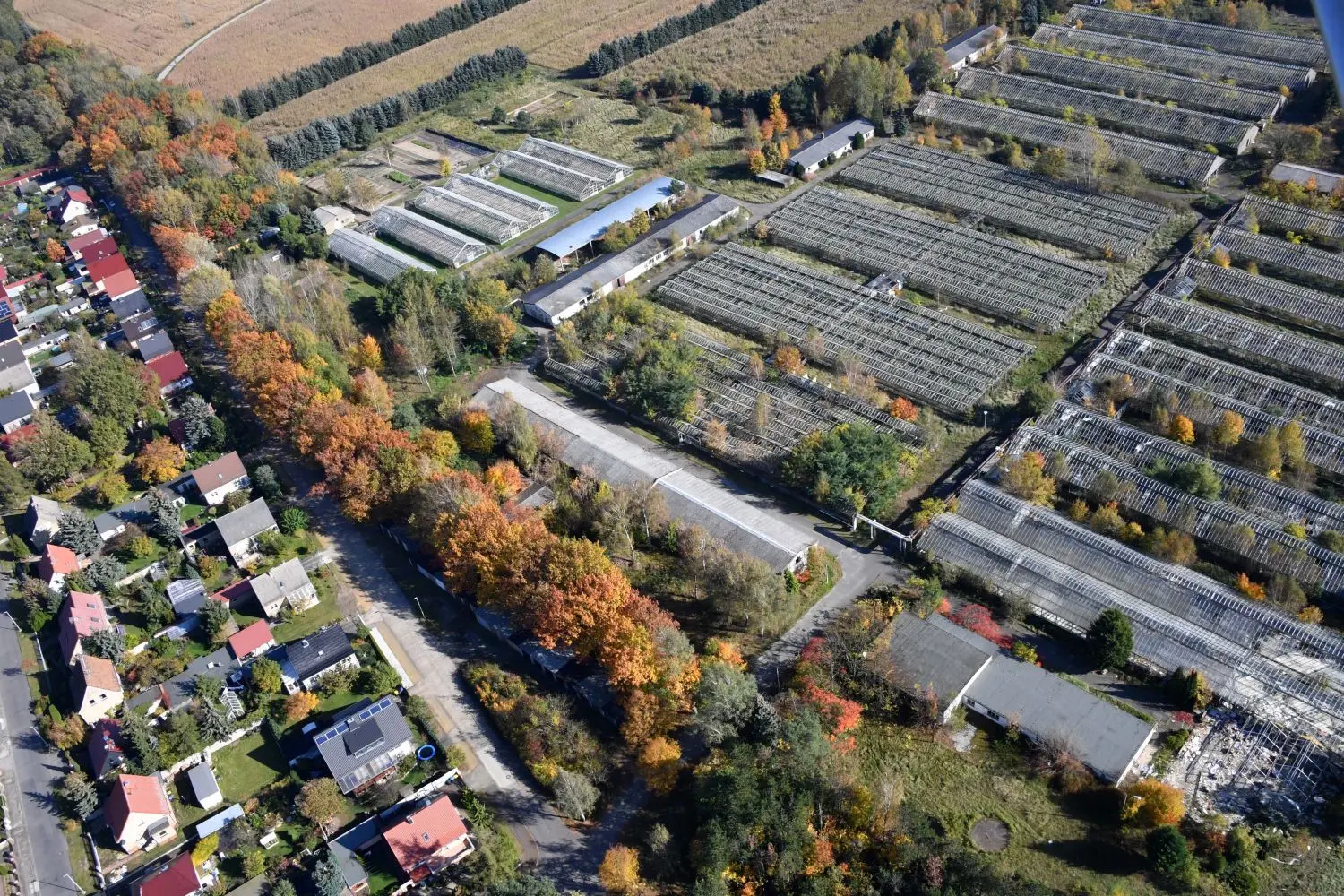 Die Liebermannstraße liegt am östlichen Rand der Branitzer Siedlung.