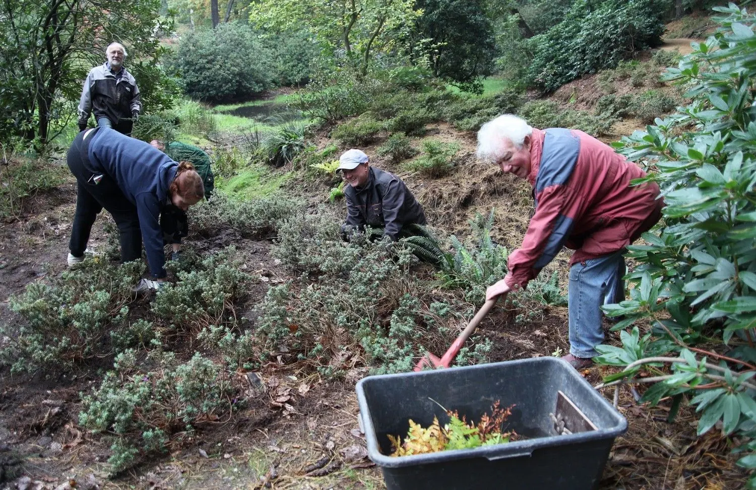 Rudolf Schröder (r.) aus Dresden gehört zu den Machern des Kromlauer Parkseminars und ist jedes Jahr trotz des hohen Alters dabei und legt Hand an; er hat ein enormes Wissen auch zum Kromlauer Park.