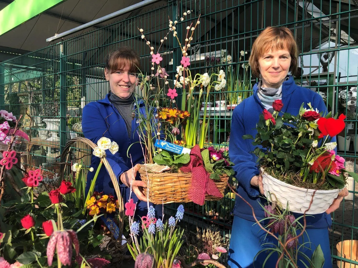 Frühlingsblüher soweit das Auge reicht: Die Floristinnen Antje Frahm (l.) und Cornelia Voß präsentieren vor dem Blumenhaus Pannenberg in Hoyerswerdas Altstadt die farbenfrohen Gestecke. ⇥
