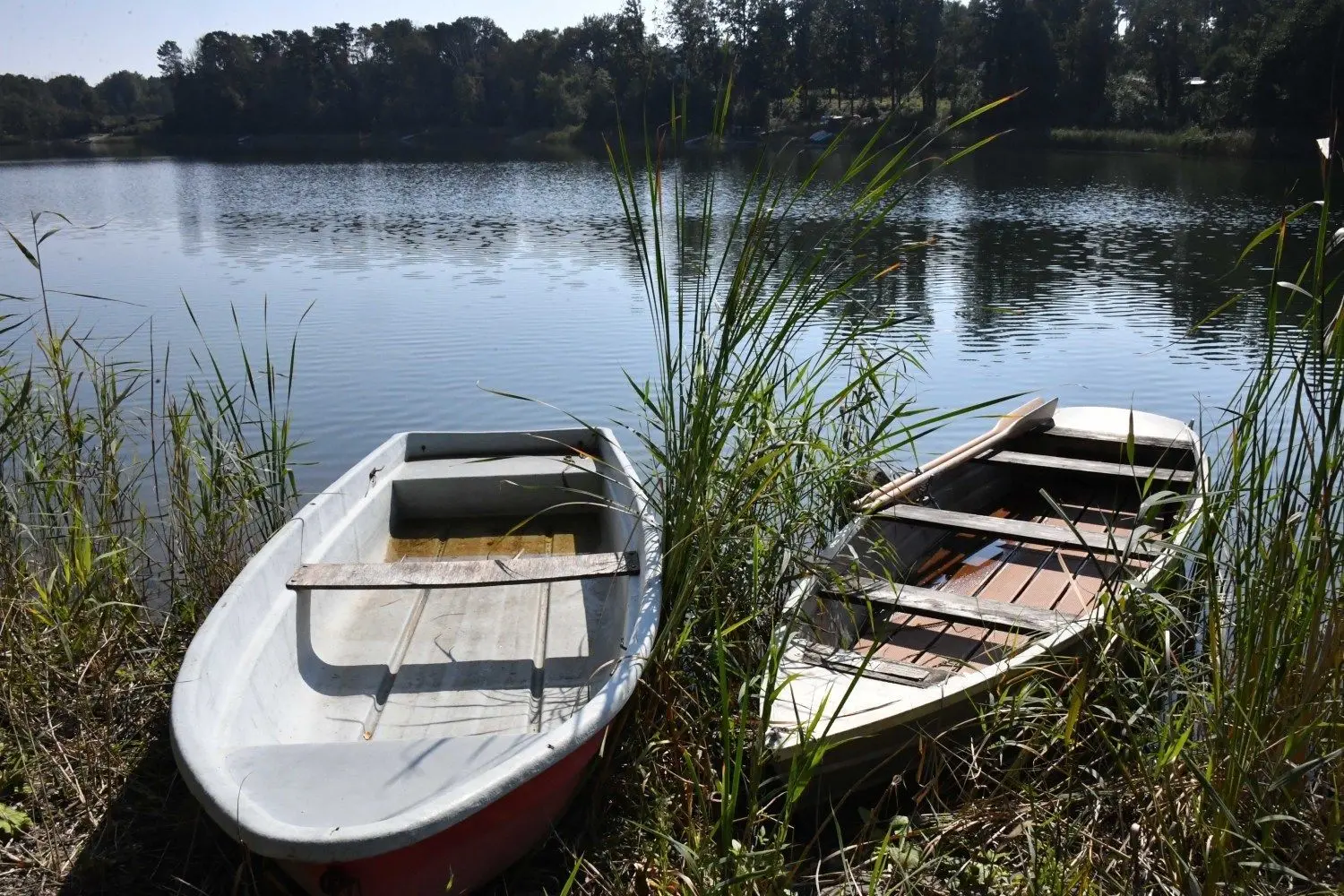 Der Pinnower See, hier der Bereich des Nordufers. Der Pegel des Sees ist zuletzt trotz zusätzlicher Einleitung von Wasser gesunken.