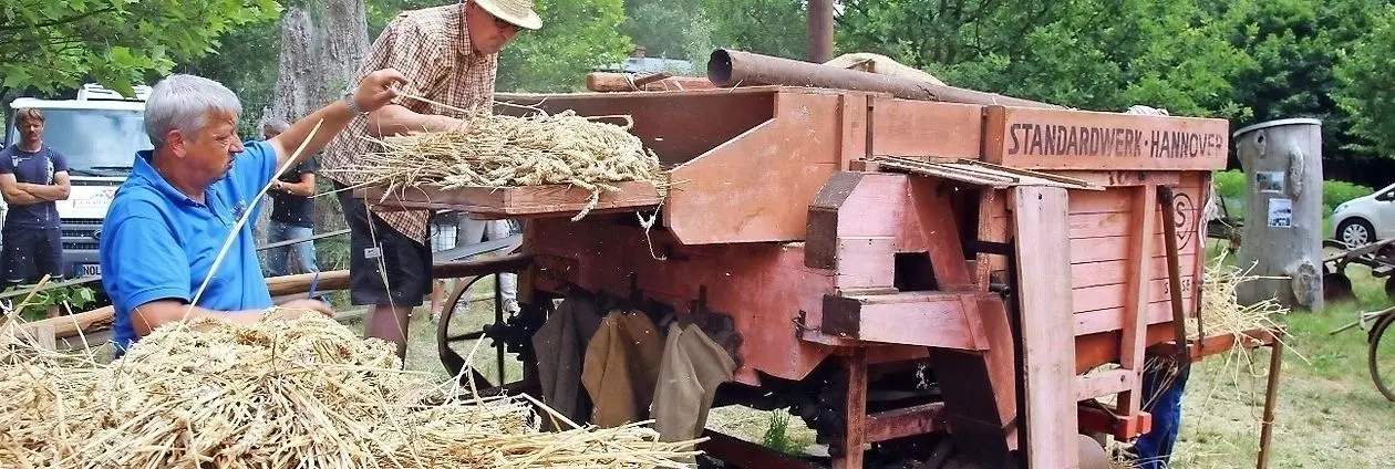 Wie früher Getreide gedroschen wurde, zeigen die Mitglieder des Klein Priebuser Traktorvereins anhand ihrer Dreschmaschine anno 1935.