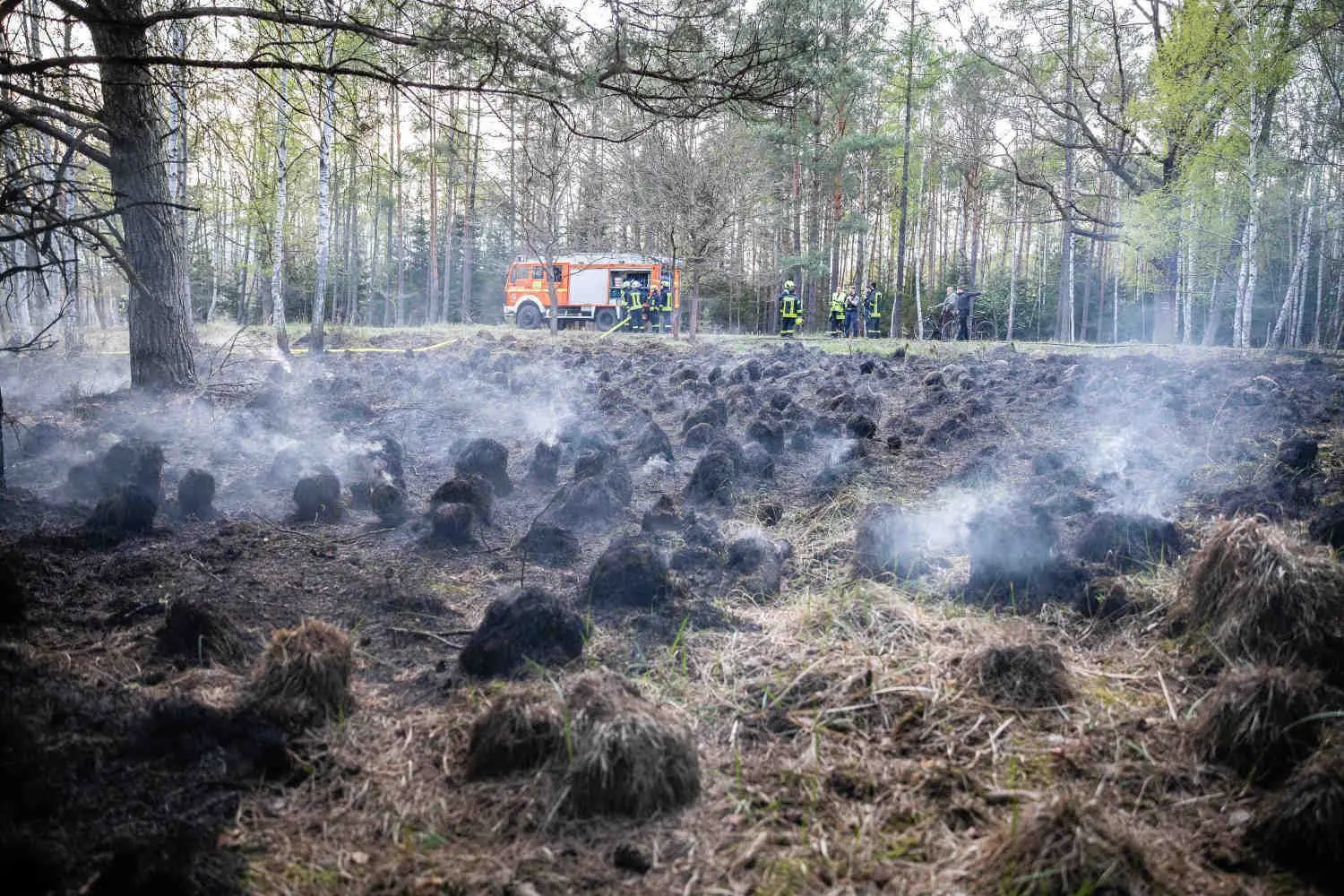 Im Dubringer Moor nahe Wittichenau war am Donnerstagabend ein Brand ausgebrochen. Die Feuerwehr war mit 56 Einsatzkräften vor Ort.