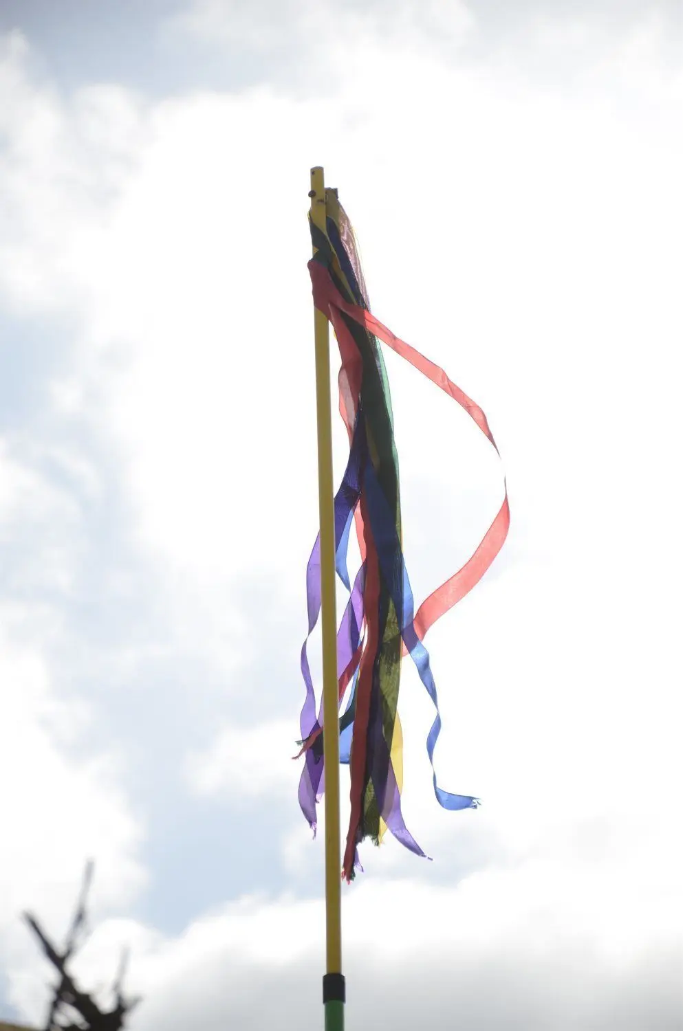 Bunte Bänder flattern vom Fahnenmast auf dem Nachbargrundstück.