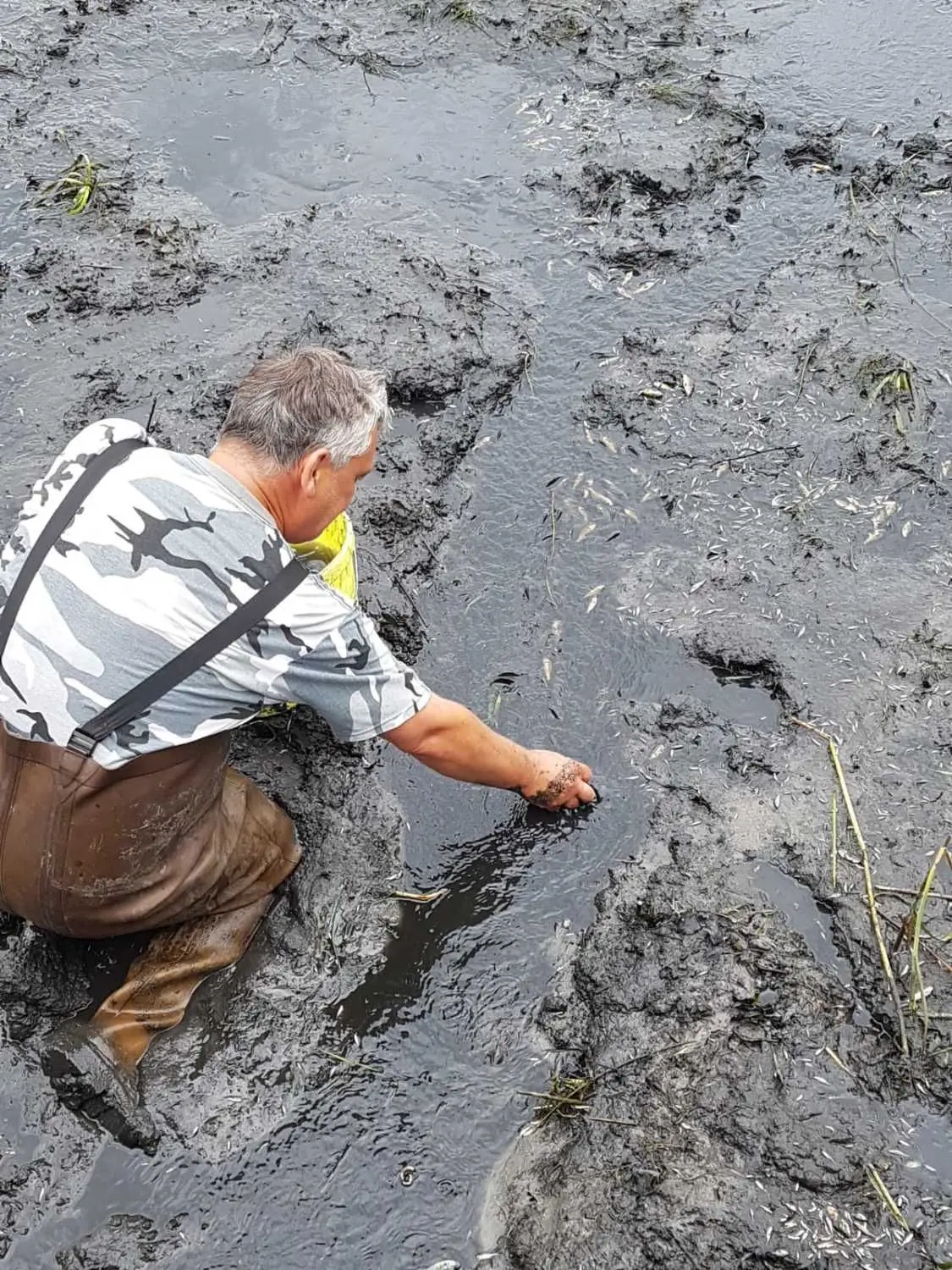 Mehrere Gewässer der Peitzer Edelfisch GmbH mussten wegen des Wassermangels bereits notabgefischt werden.