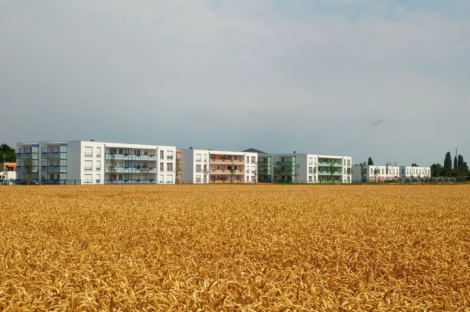 Das erste Wohnungsneubauprojekt der Wohnungsgenossenschaft Bernburg eG aus dem Jahr 2017, der "Kiez am Südbogen" mit 71 seniorengerechten Wohnungen in drei Mehrfamilienhäusern und acht Reihenhäusern   bietet einigen Mietern freie Sicht übers Feld.