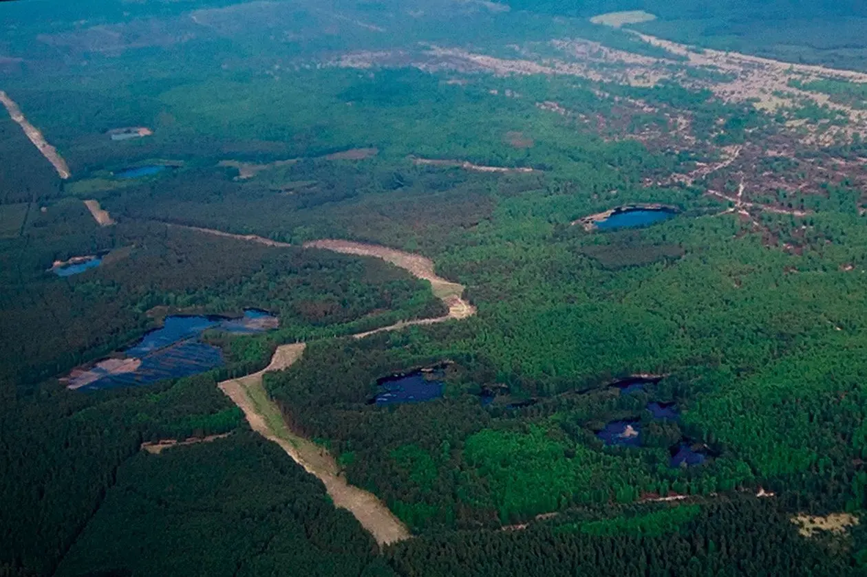 Ein 50 Meter breiter Waldbrandschutzstreifen zieht sich durch die Stiftungsfläche der Lieberoser Heide.⇥