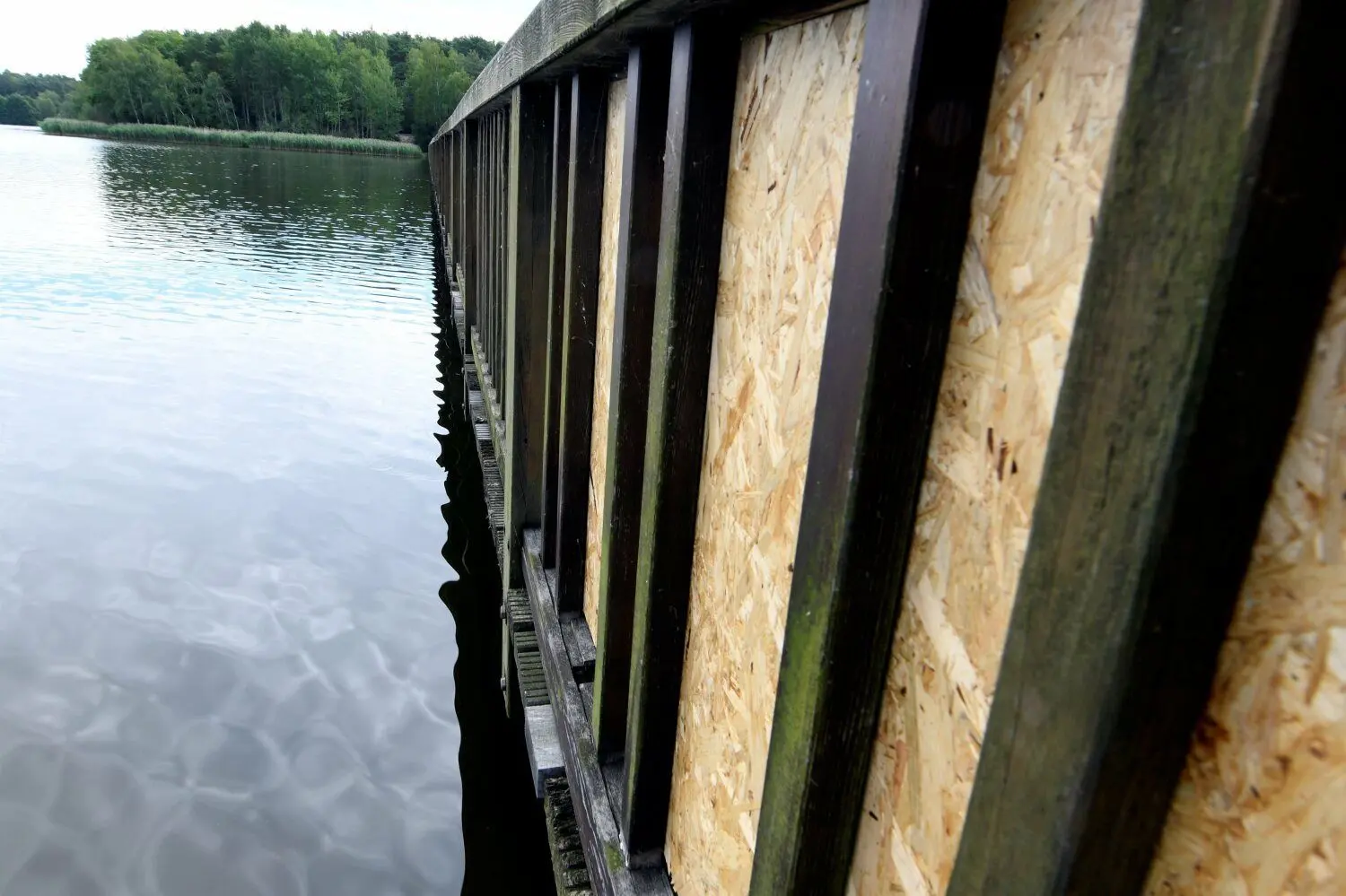 Notdürftig ist die Braunsteichbrücke von Mitarbeitern der Stadtverwaltung repariert worden.