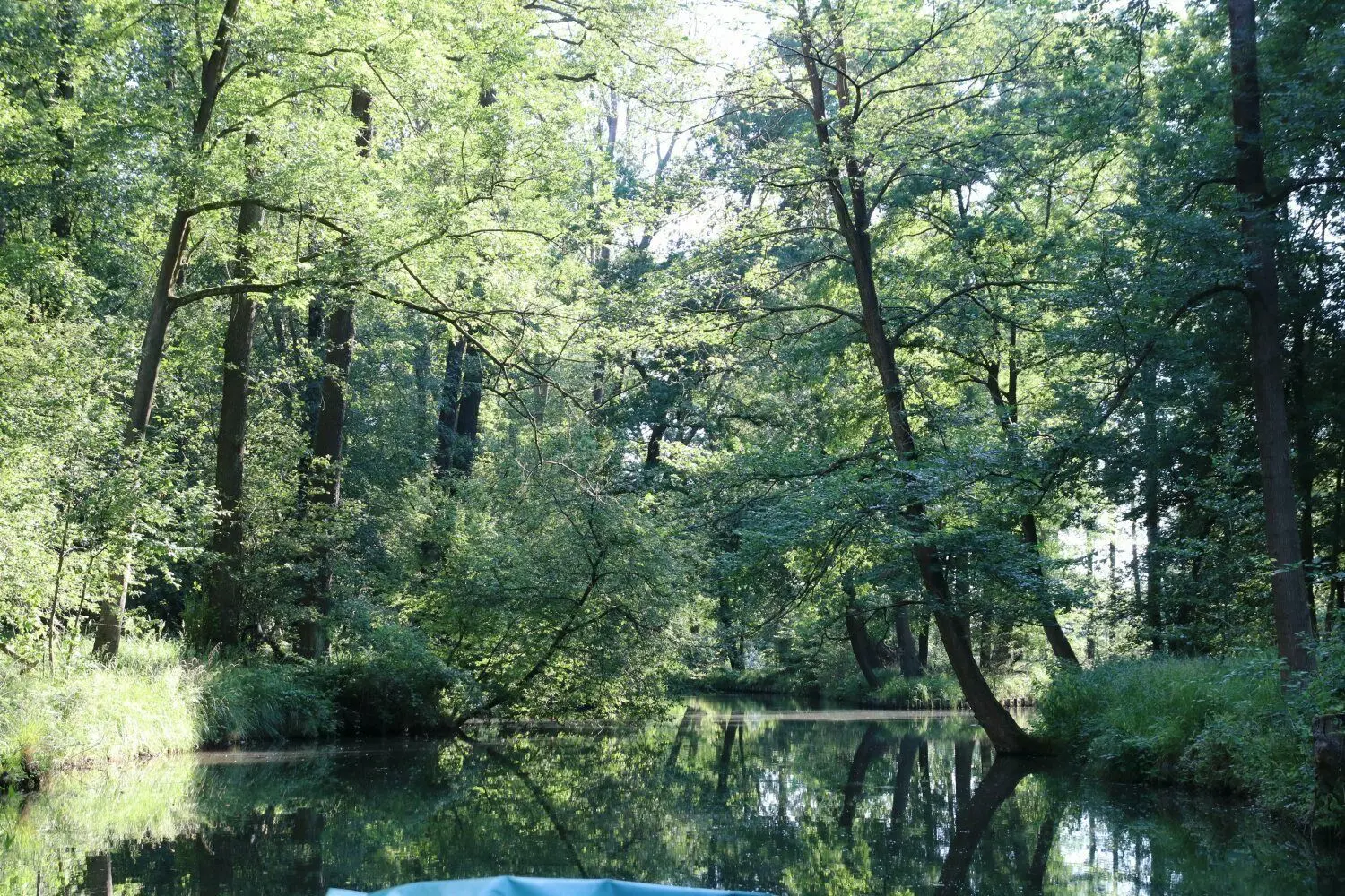 So kennen und lieben Spreewälder und Touristen den Spreewald.
