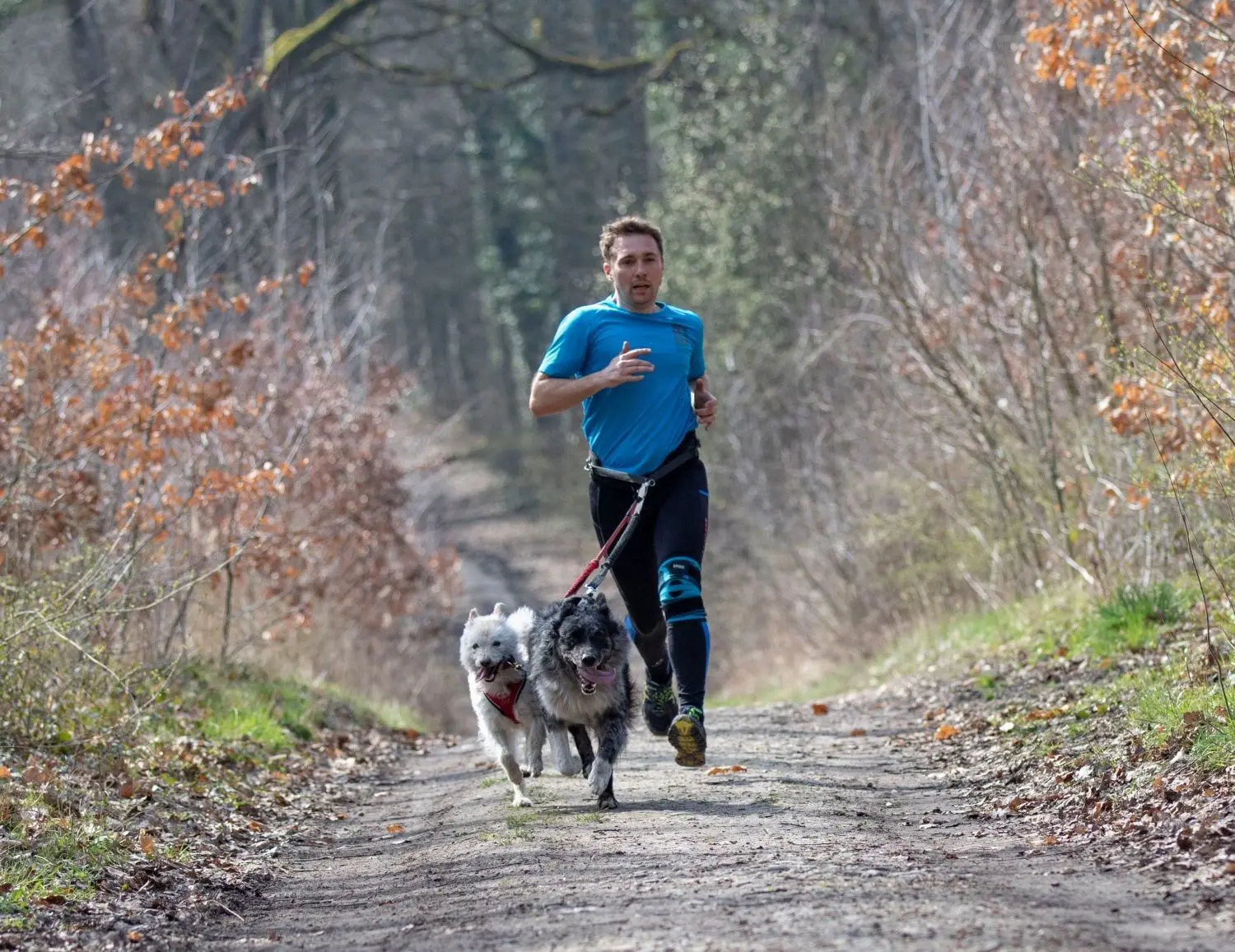 Baily leiht sich Maik Seiffert zu Turnieren von einer Sportfreundin aus, aber auch Iza, seine eigene Hündin, hält auf den Jogging-Runden prima mit.