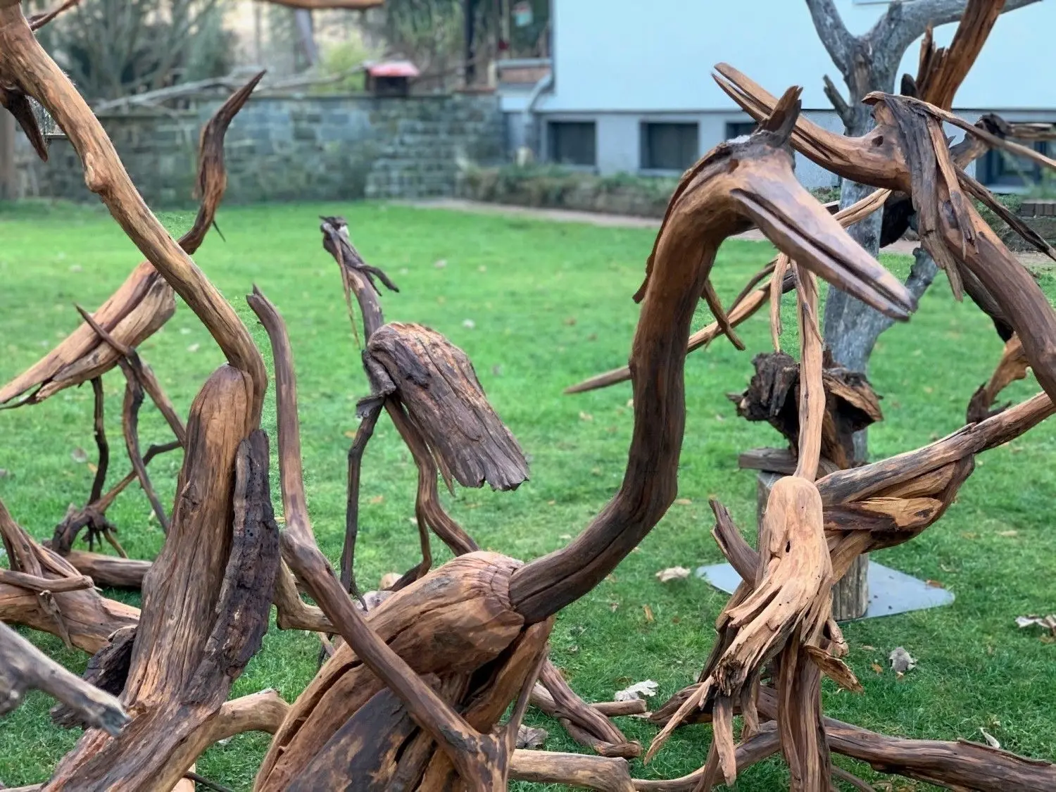 Altes Holz setzt Achim Nocka zu Tierfiguren zusammen. Gerade ist eine Gruppe Kraniche entstanden, die jetzt in seinem Garten stehen.
