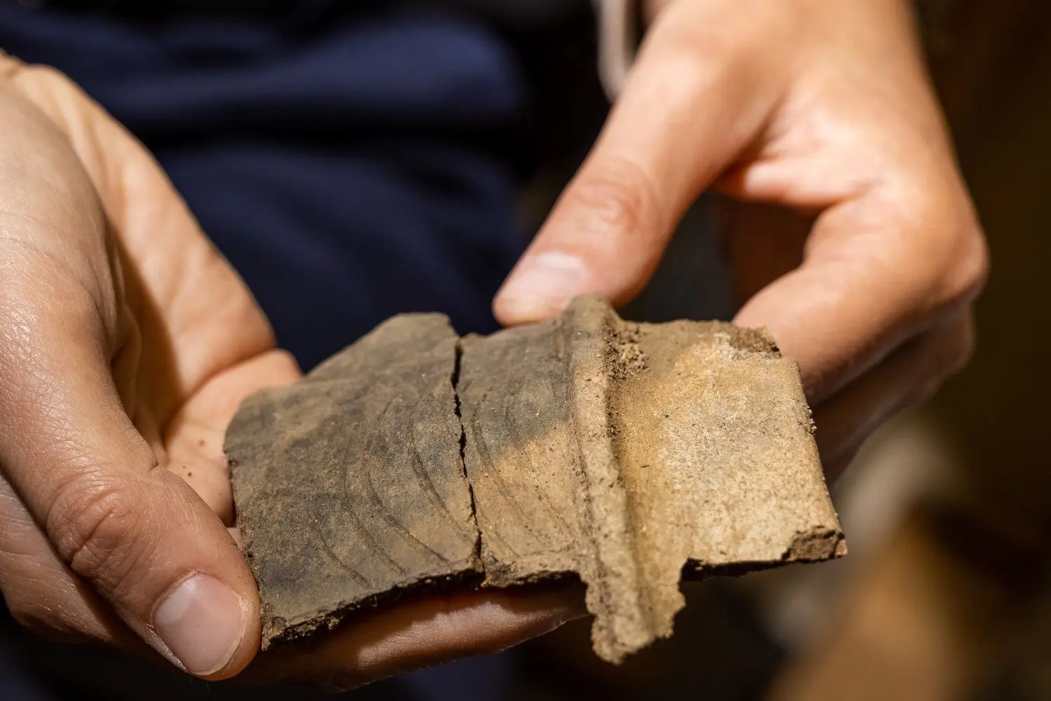 Hunderte von Fragmenten haben die Archäologen aus dem Boden in Guben-Kaltenborn geholt. Neben kleinen Teilchen und Scherben sind aber viele Gefäße auch noch gut erhalten.