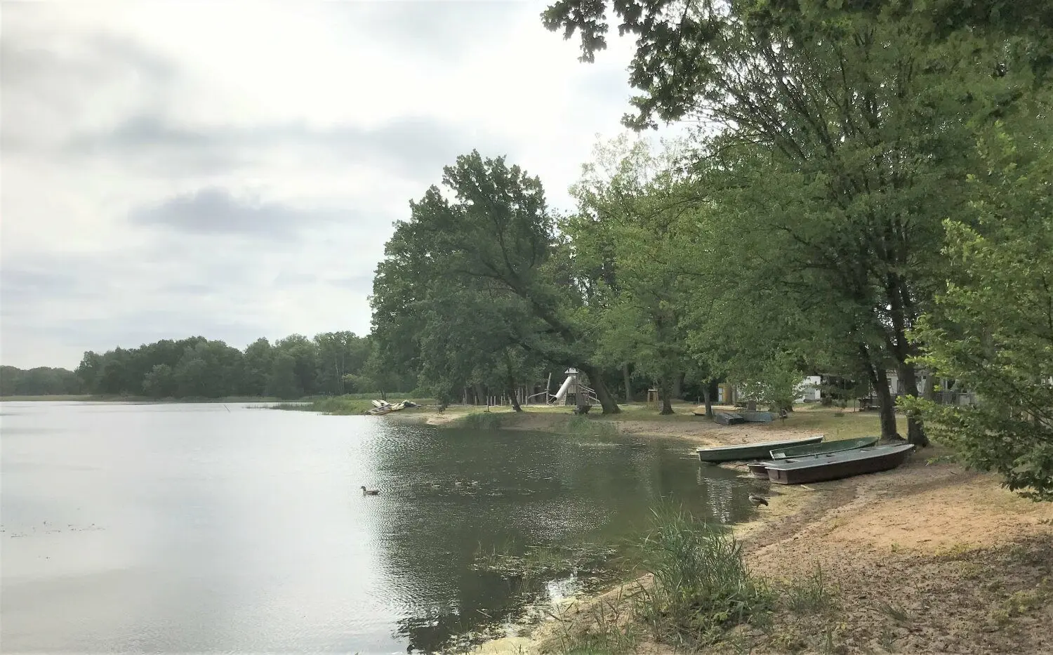 Dadurch, dass der Körbaer See relativ flach ist, eignet er sich auch gerade für Kinder gut zum Baden.