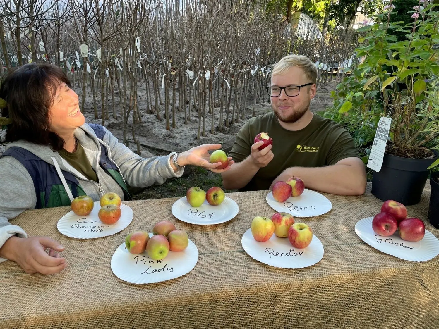 Obstbäume pflanzen Experte aus Baumschule gibt Tipps so macht man es