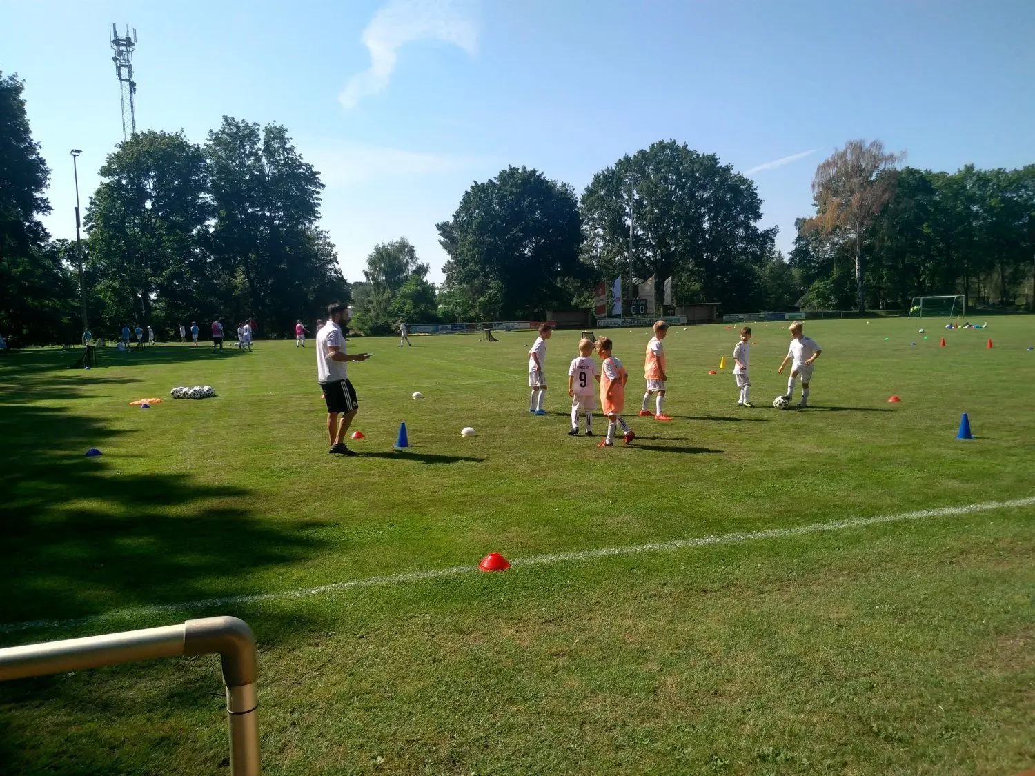 In dieser Woche wird der Sportplatz des 1. SV Lok Calau in der Viersener Straße wieder zum königlichen Fußballcamp.