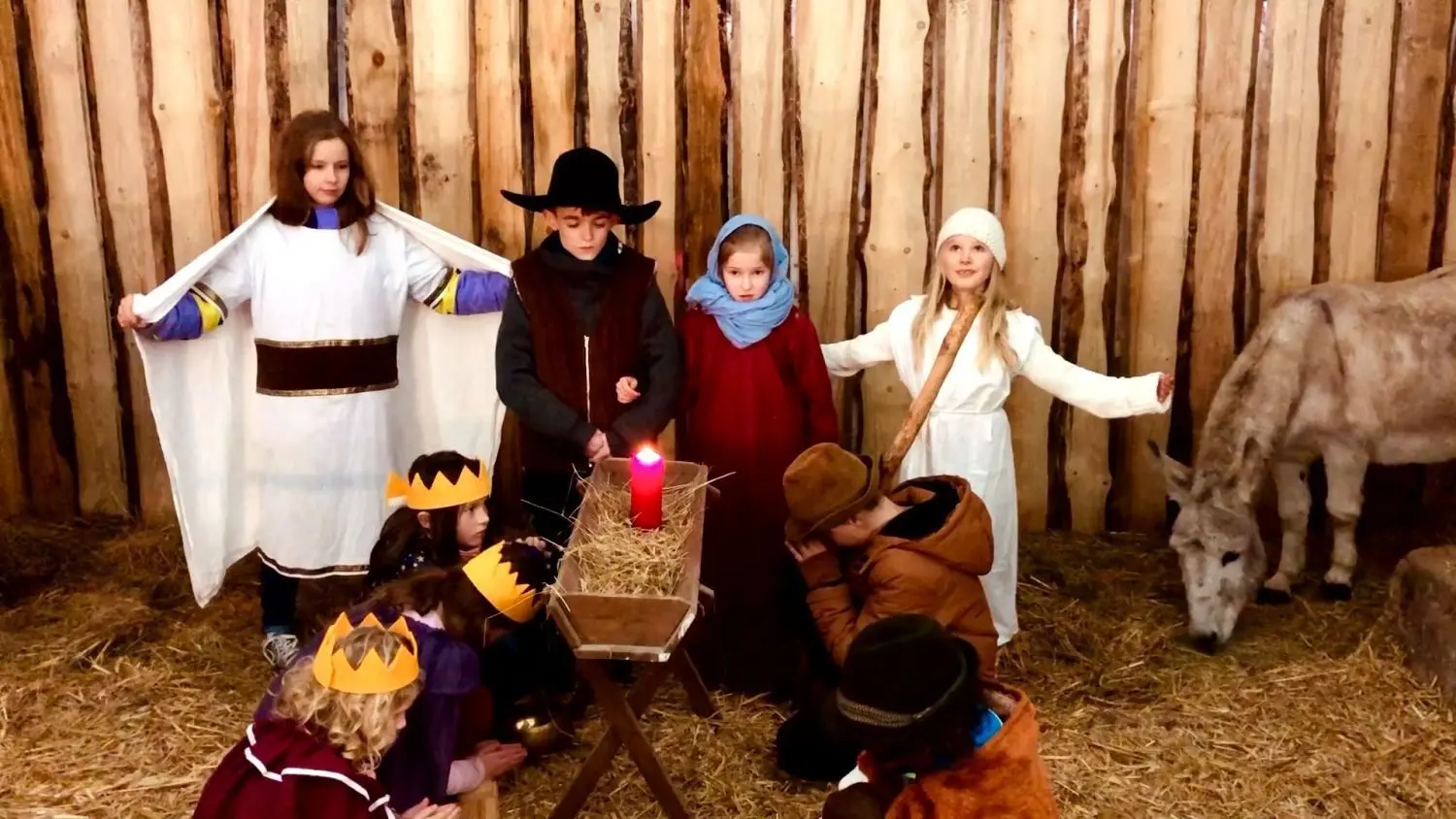 Statt in der Kirche wird im diesjährigen Krippenspiel das neugeborene Christuskind von den drei Waisen aus dem Morgenland in einem echten Luckauer Stall mit leibhaftigem Esel angebetet: zu sehen im Video-Gottesdienst der Evangelischen Gemeinde Luckau.