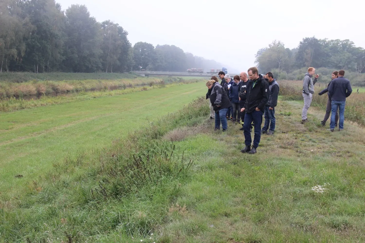 Trotz intensiver Suche haben die Teilnehmer der Deichschau an der Schwarzen Elster bei Lauchhammer-West keine Ambrosia-Pflanzen gefunden.