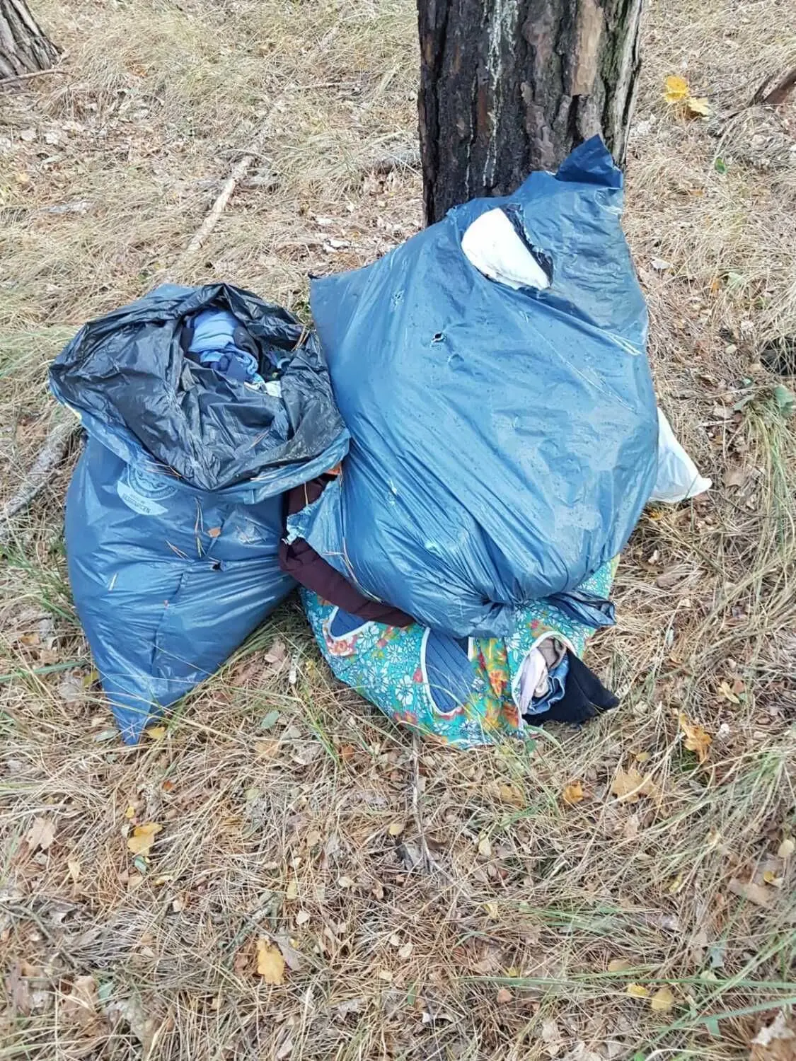 Ein zuletzt häufiges Bild aus der näheren Umgebung des Vetschauer Ortsteils Koßwig. Unbekannte laden ihren Unrat in Müllsäcken einfach am Waldesrand ab.