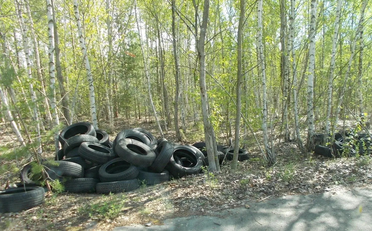 Kaum zu schaffen: Drei Waldarbeiter müssen sich auch um wachsende Müllberge auf 35 000 Hektar in Luckaus Wäldern kümmern.
