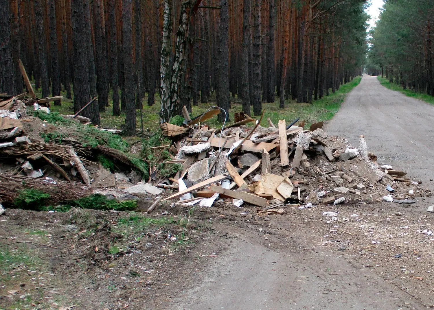 Zwischen Kaden und Niewitz im Wald wurde im Mai mindestens eine LKW-Ladung mit Bauschutt illegal abgeladen.