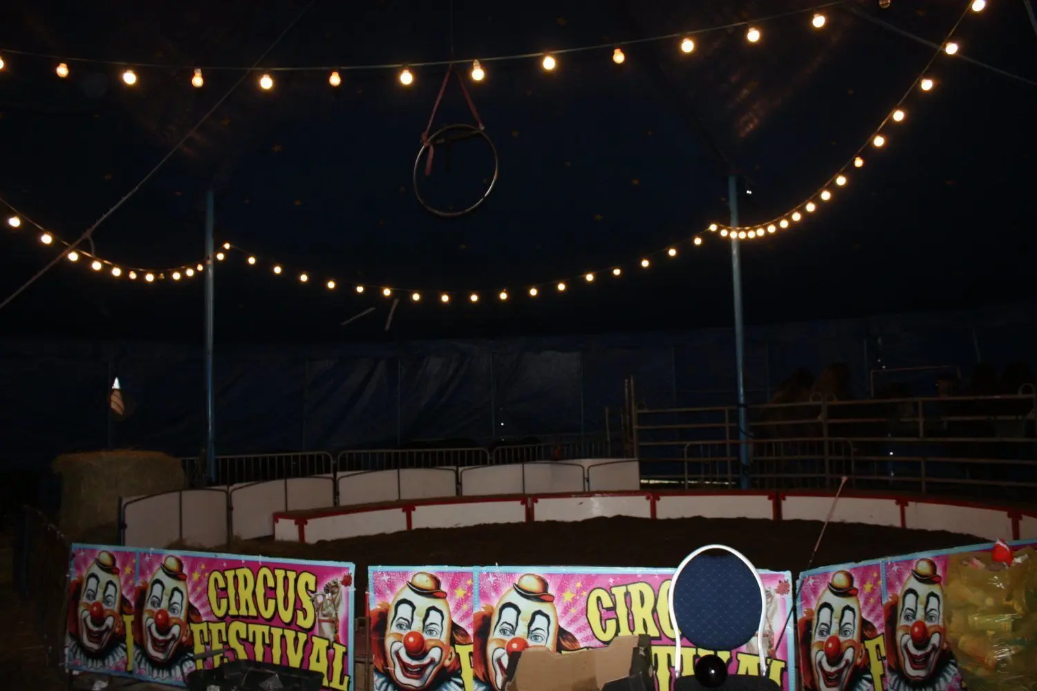 Im Foyerzelt des Weihnachtszirkusses sind derzeit die Tiere untergebracht.