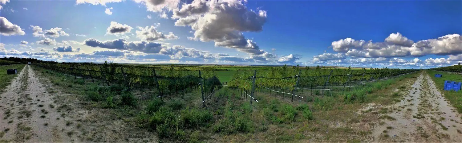 Vom Wolkenberg aus können die Gäste einen herrlichen Blick über die Landschaft genießen.