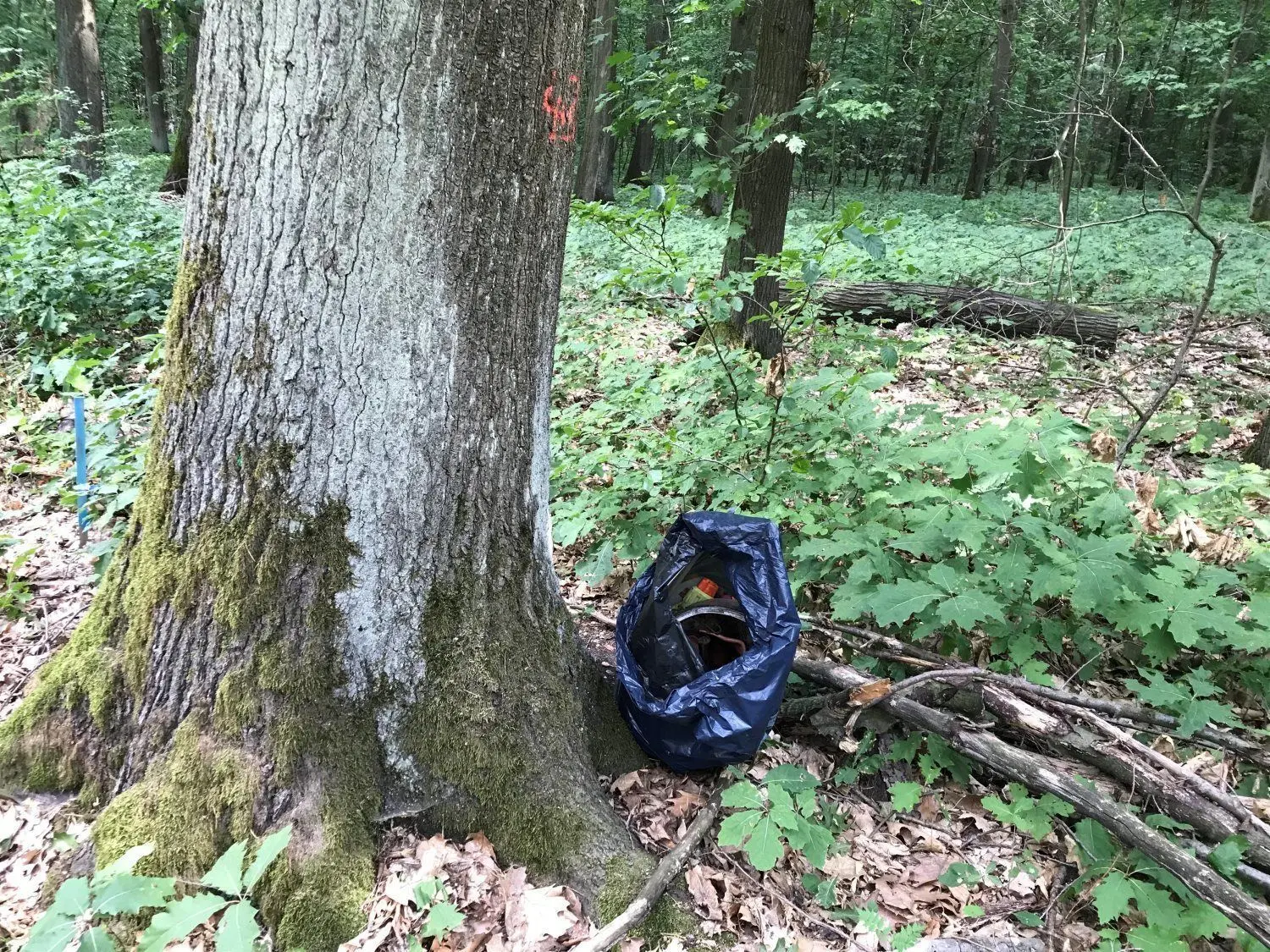 Arbeiter verdichten eine der Abwurfstellen auf dem „Tellerberg“ in der Bürgerheide.⇥
