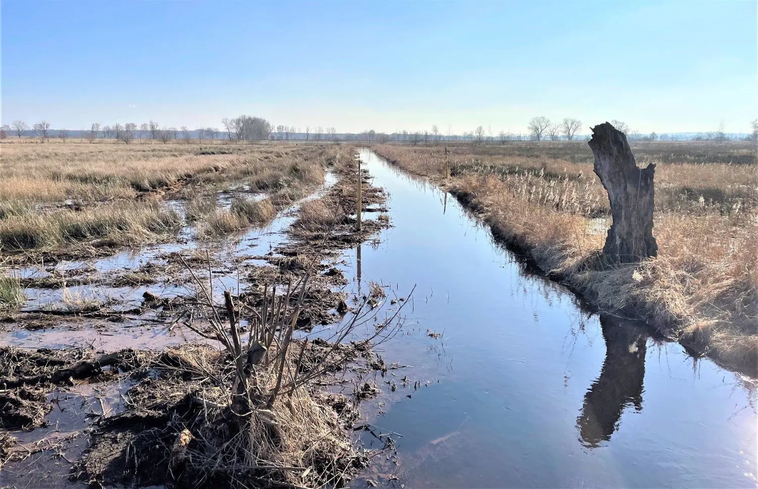 Von den Wiesen und Feldern der Agrar GmbH Plessa läuft das Wasser seit Monaten nur sehr langsam ab.