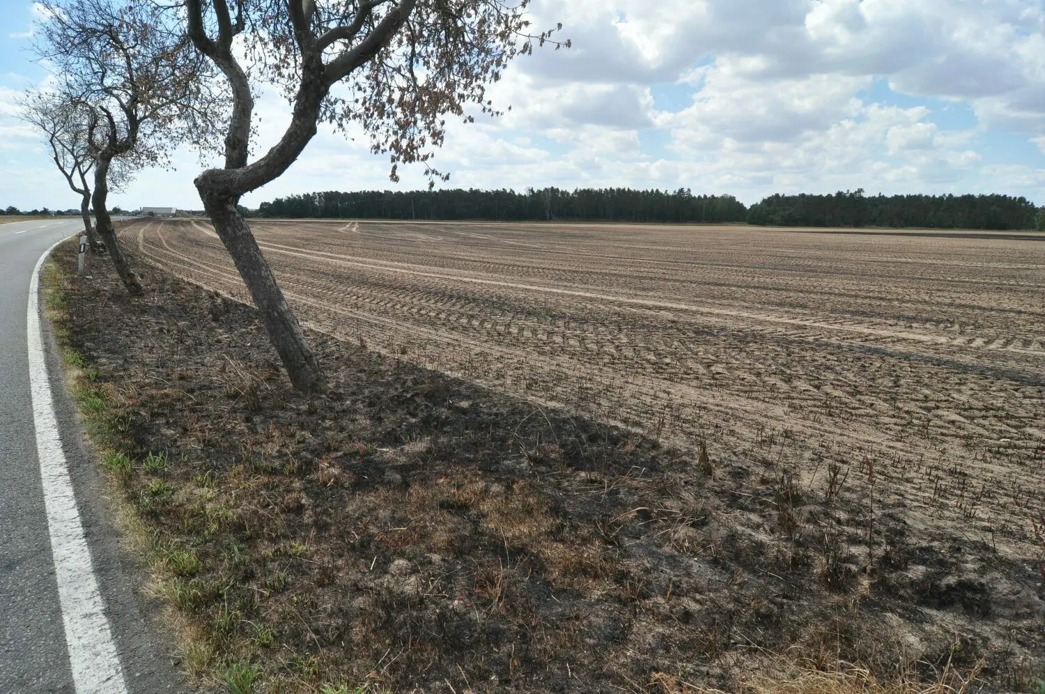 Dieses Getreidefeld war bei Jacobsthal bei Mäharbeiten in Brand geraten und konnte 30 Meter vorm Übergreifen auf den kleinen Waldstreifen und den unmittelbar dahinter liegenden Ort Jacobsthal an der Landesgrenze von Sachsen und Brandenburg gestoppt werden. Inzwischen ist das Feld umgepflügt, die Brandspuren sind noch sichtbar.