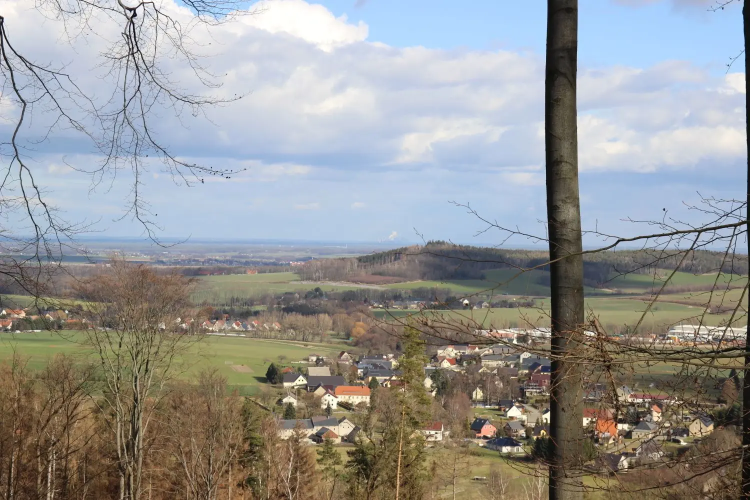 Ärger für die Förster, Freude für die Wanderer. Die Borkenkäfer haben im Thurn-und-Taxis-Wald ganze Fichtenbestände vernichtet. Dadurch eröffnen sich aber imposante Fernsichten bis zu den drei Lausitzer Kraftwerken am Horizont.