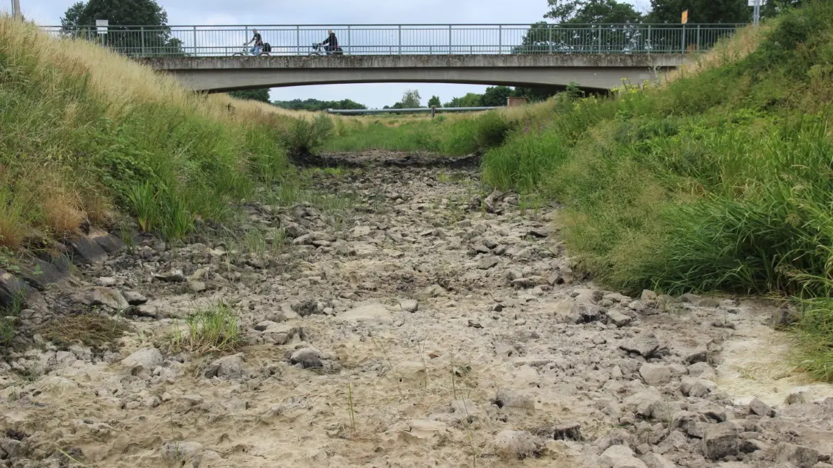 Anfang Juli 2023 war die Schwarze Elster an der Tätzschwitzer Brücke komplett ausgetrocknet.
Die Schwarze Elster an der Tätzschwitzer Brücke ist komplett ausgetrocknet.