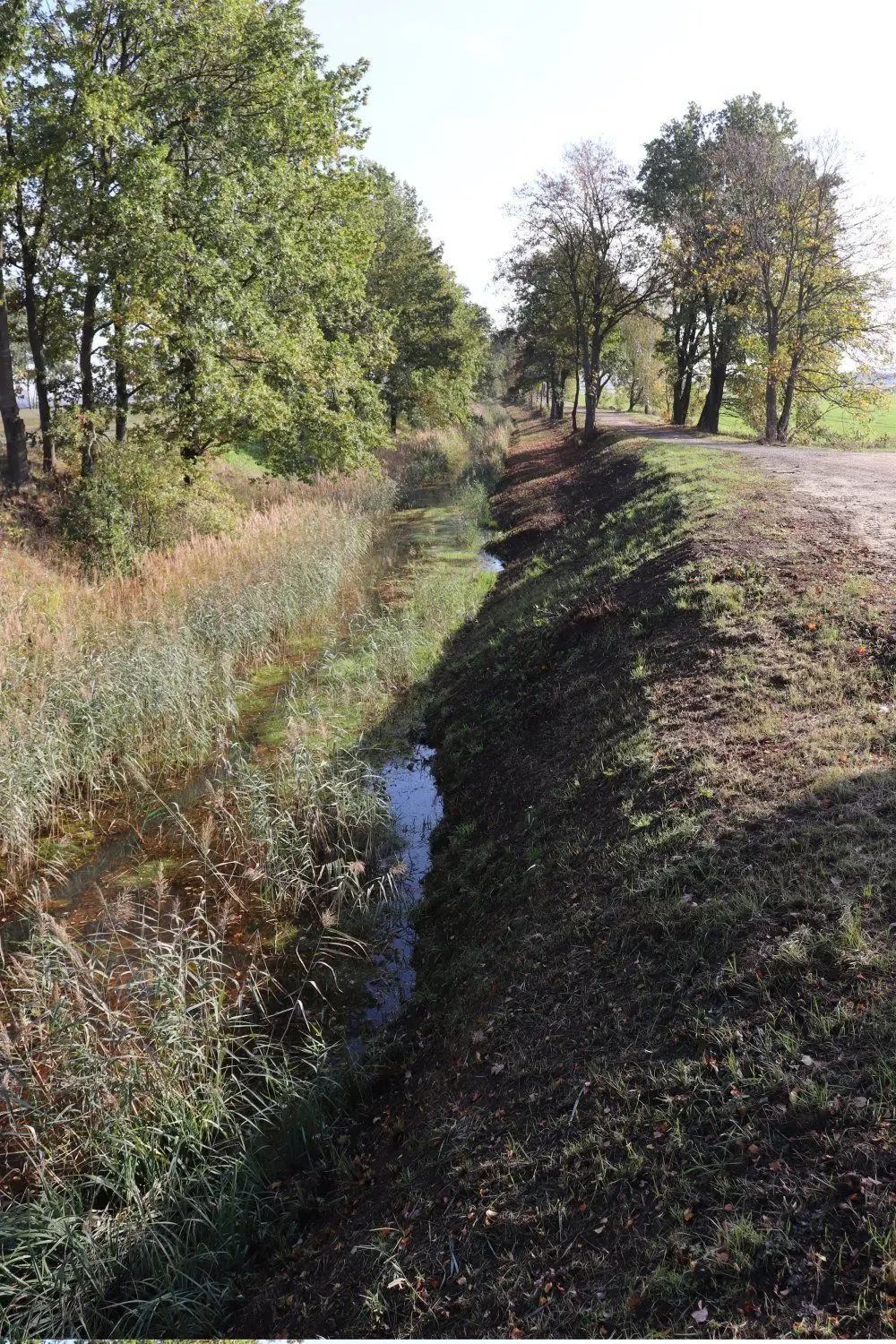 Der Hauptschradengraben ist einer von mehreren kleinen Vorflutern, die die Schradenniederung entwässern. Die Grabenpflege ist dort noch nicht beendet.