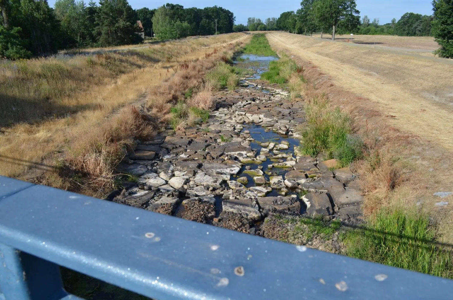 Die Schwarze Elster ist nahe Kortitzmühle bei Geierswalde fast ausgetrocknet. Wenige hundert Meter weiter führt sie gar kein Wasser mehr.