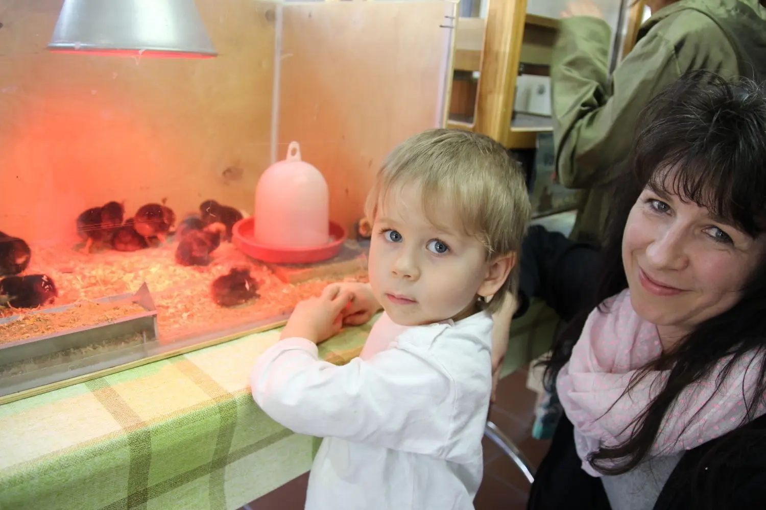 Kleine Kunstwerke sind in Schleife zu sehen.