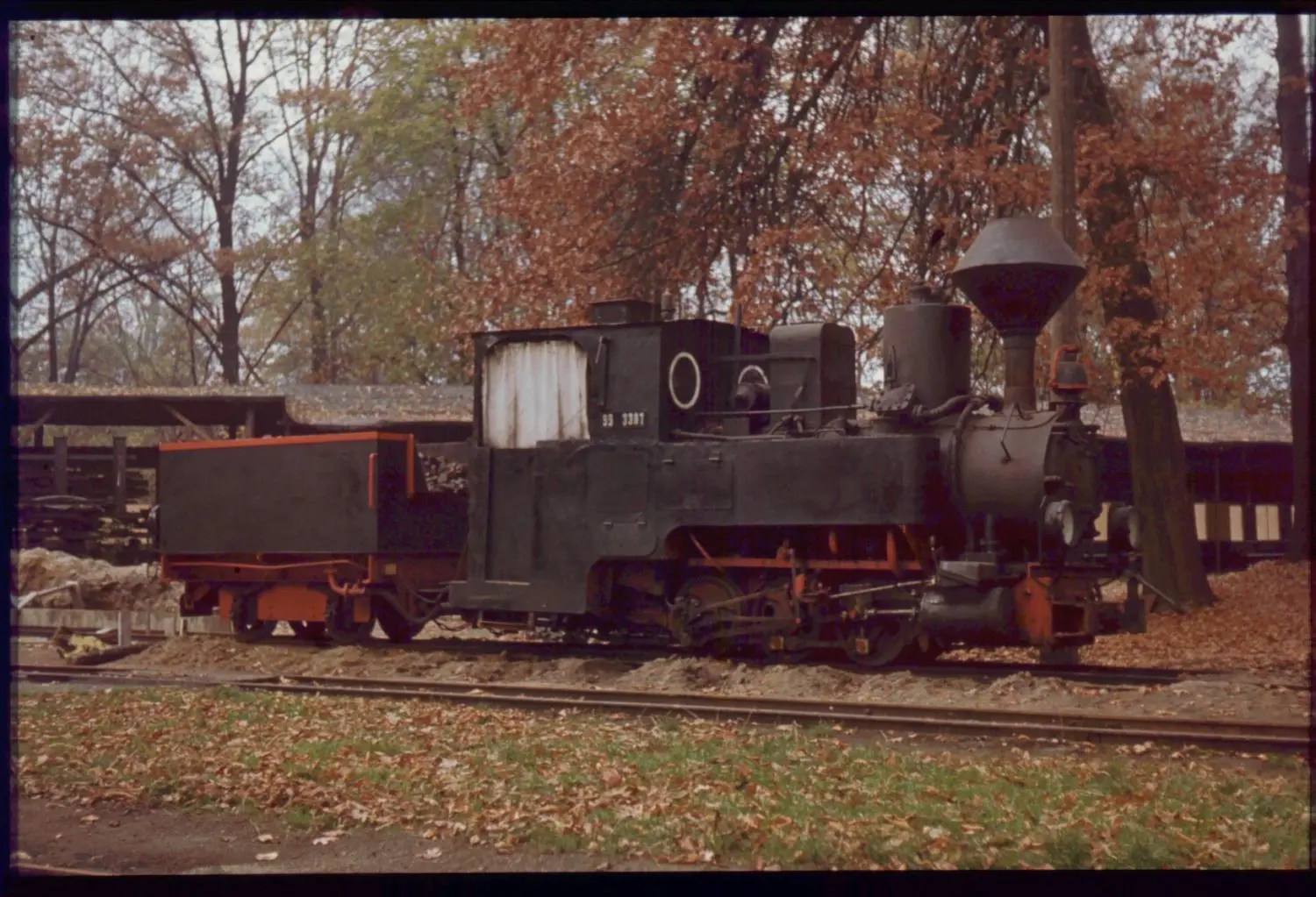 Die Aufnahme zeigt Graf Arnim am Bahnhof Freundschaft. Die Dampflok kam im Jahr 1969 nach Cottbus zur damaligen Pioniereisenbahn.