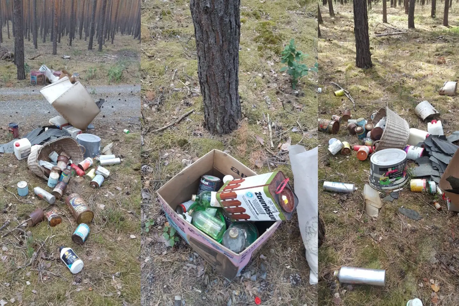 Hochgefährliche Abfälle sind in der Ortslage Gollmitz an einem durch den Wald verlaufenden Schotterweg an der Rutzkauer Straße abgelagert worden.